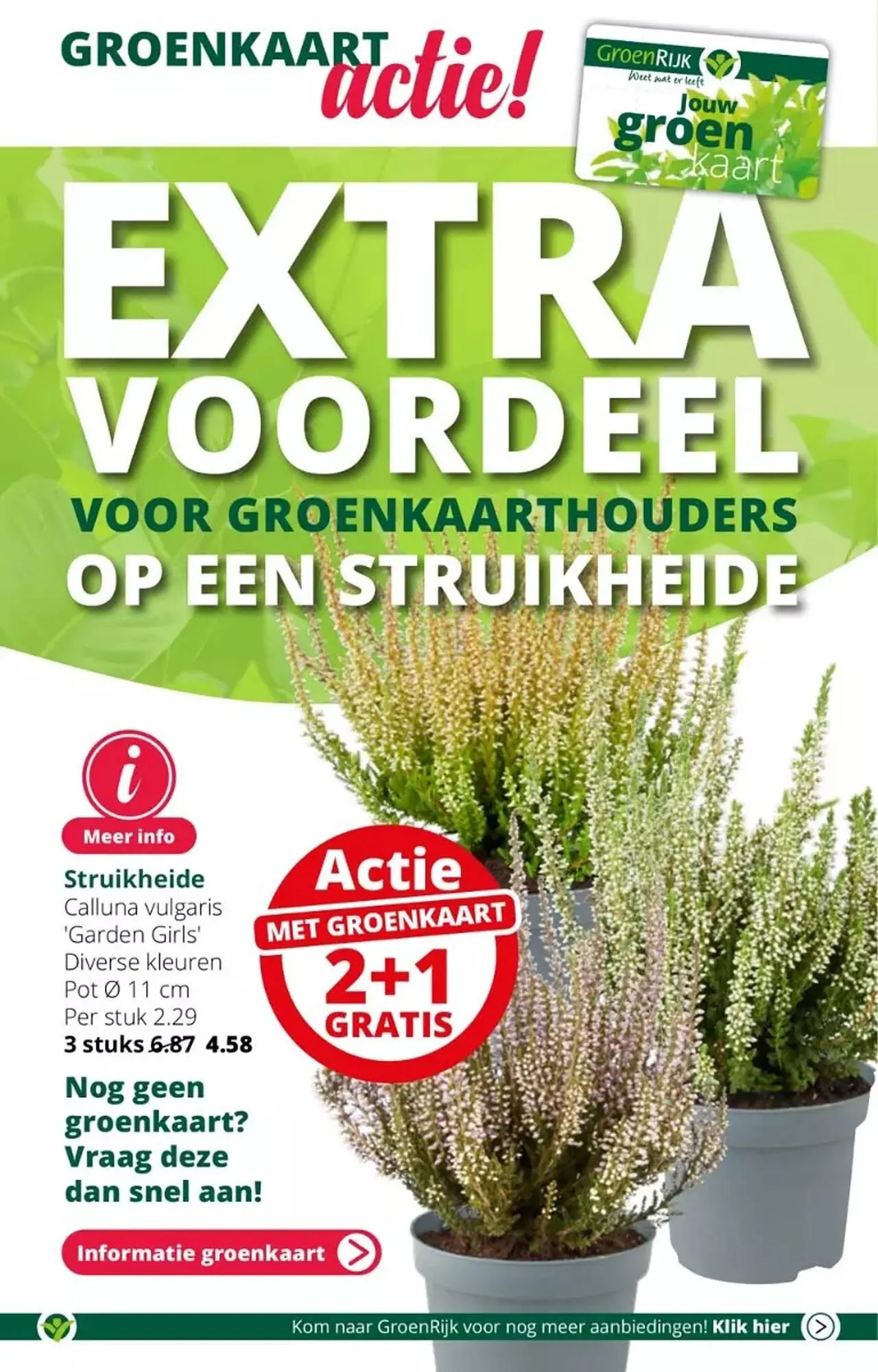 GroenRijk folder van 30 augustus tot 5 september 2023 - Folder pagina 12