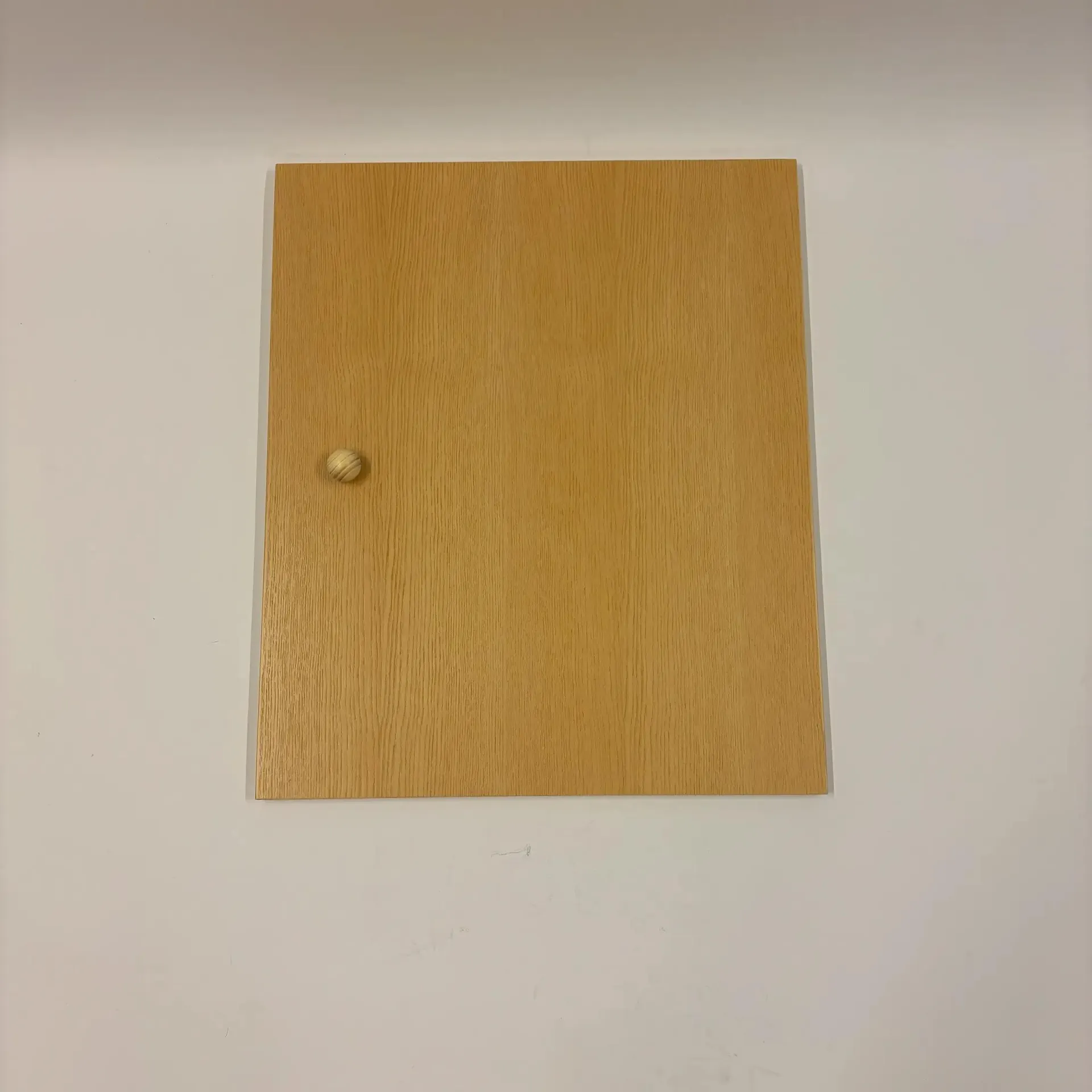 Lundia deur vlak enkel 60h x 50br Blank gelakt – nu met 40 % korting