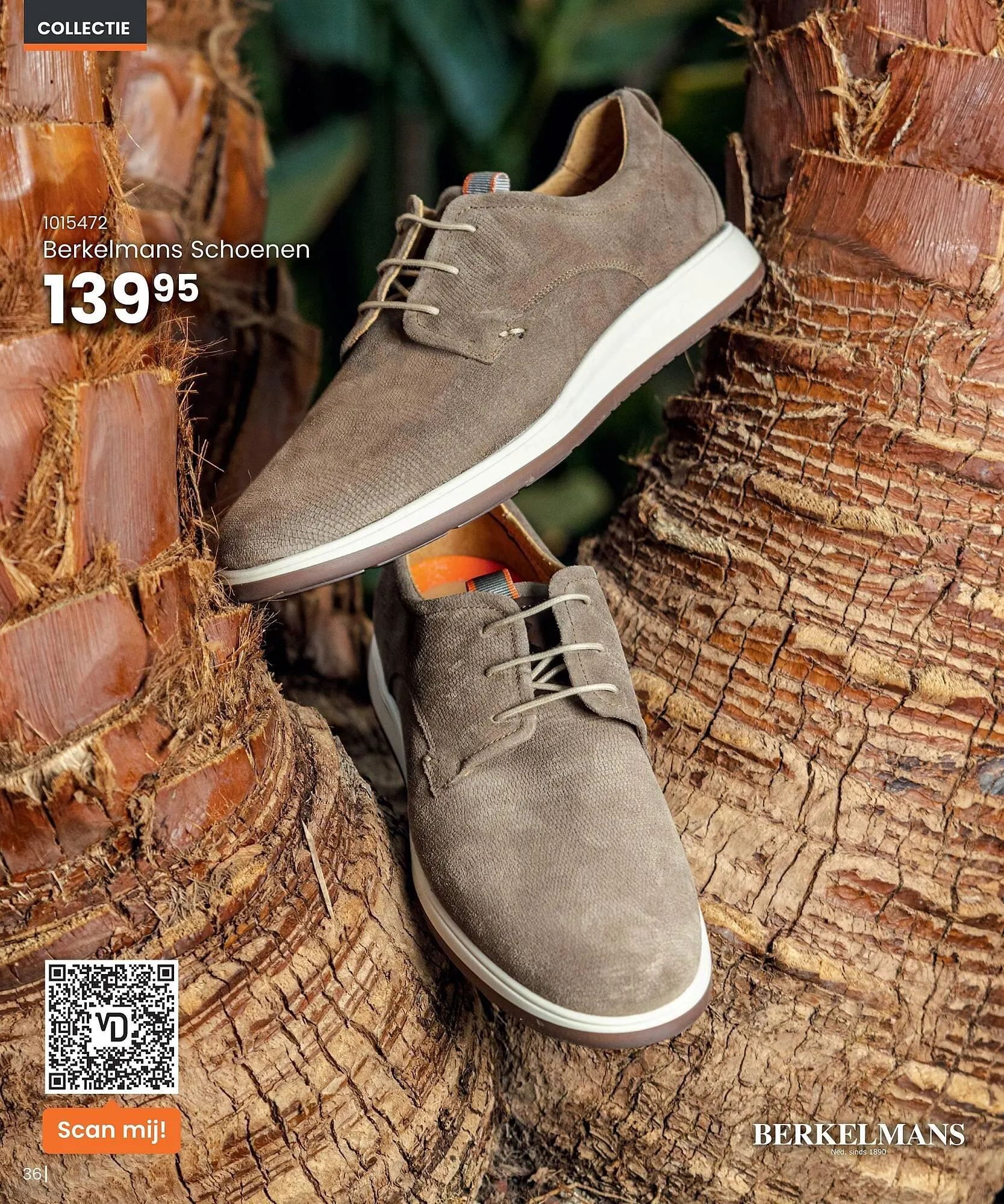 Van Dal Mannenmode folder van 16 maart tot 1 juni 2025 - Folder pagina 36