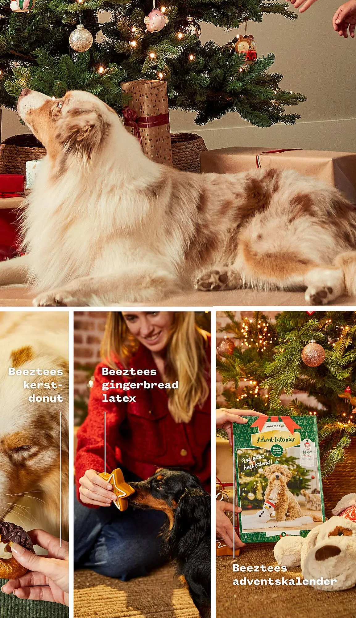 Welkoop folder van 1 december tot 7 december 2025 - Folder pagina 17