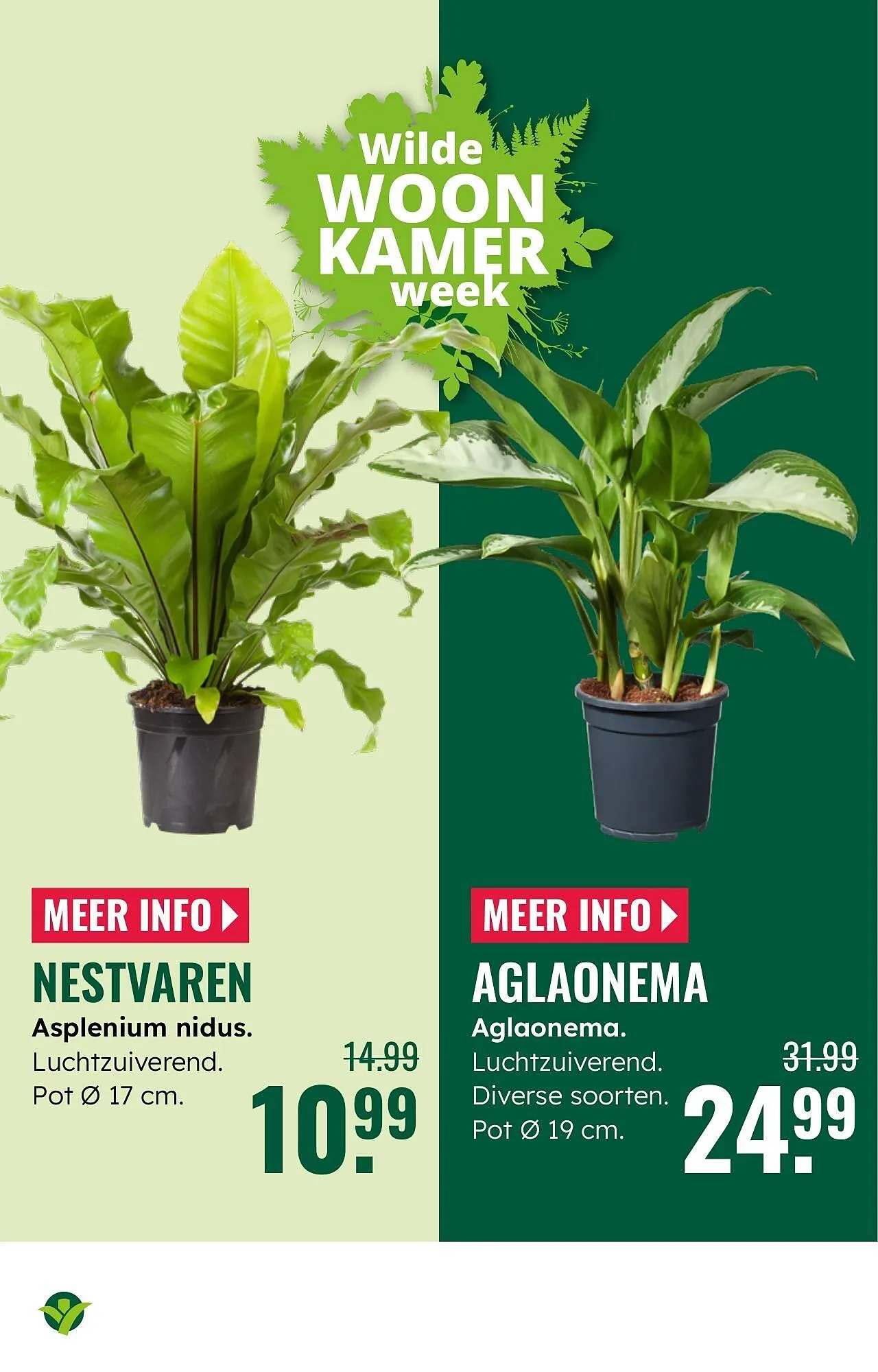 GroenRijk folder van 1 oktober tot 7 oktober 2025 - Folder pagina 12