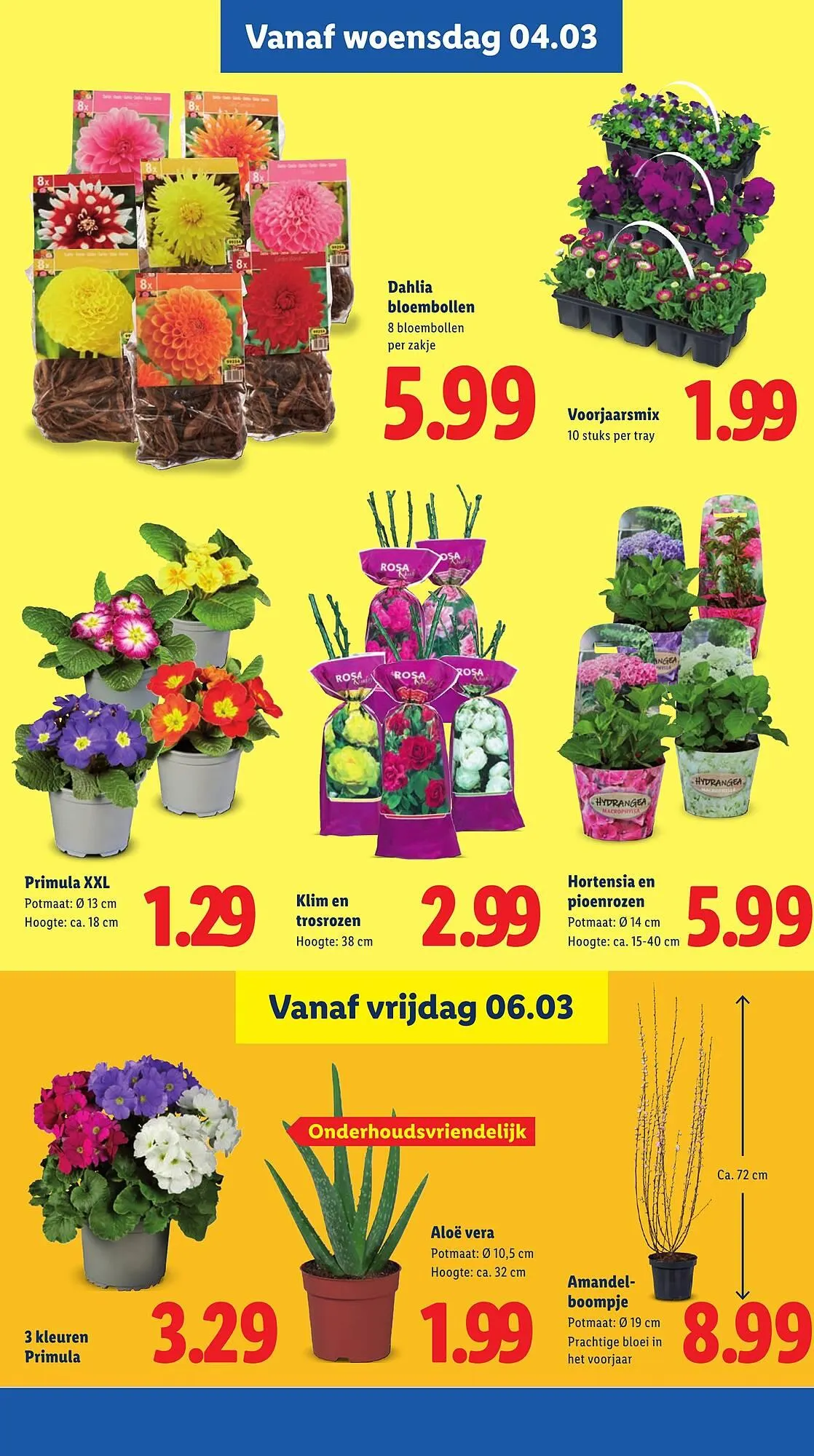 Lidl folder van 2 maart tot 8 maart 2026 - Folder pagina 24