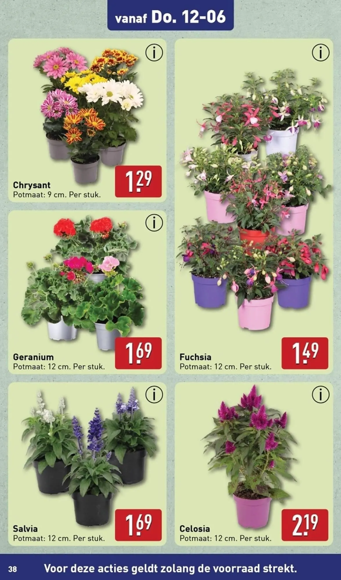 ALDI folder van 10 juni tot 16 juni 2025 - Folder pagina 38