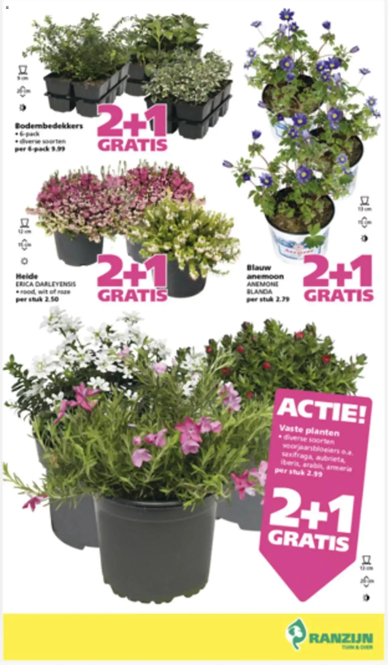 Ranzijn - Folder van 11 maart tot 31 december 2023 - Folder pagina 3