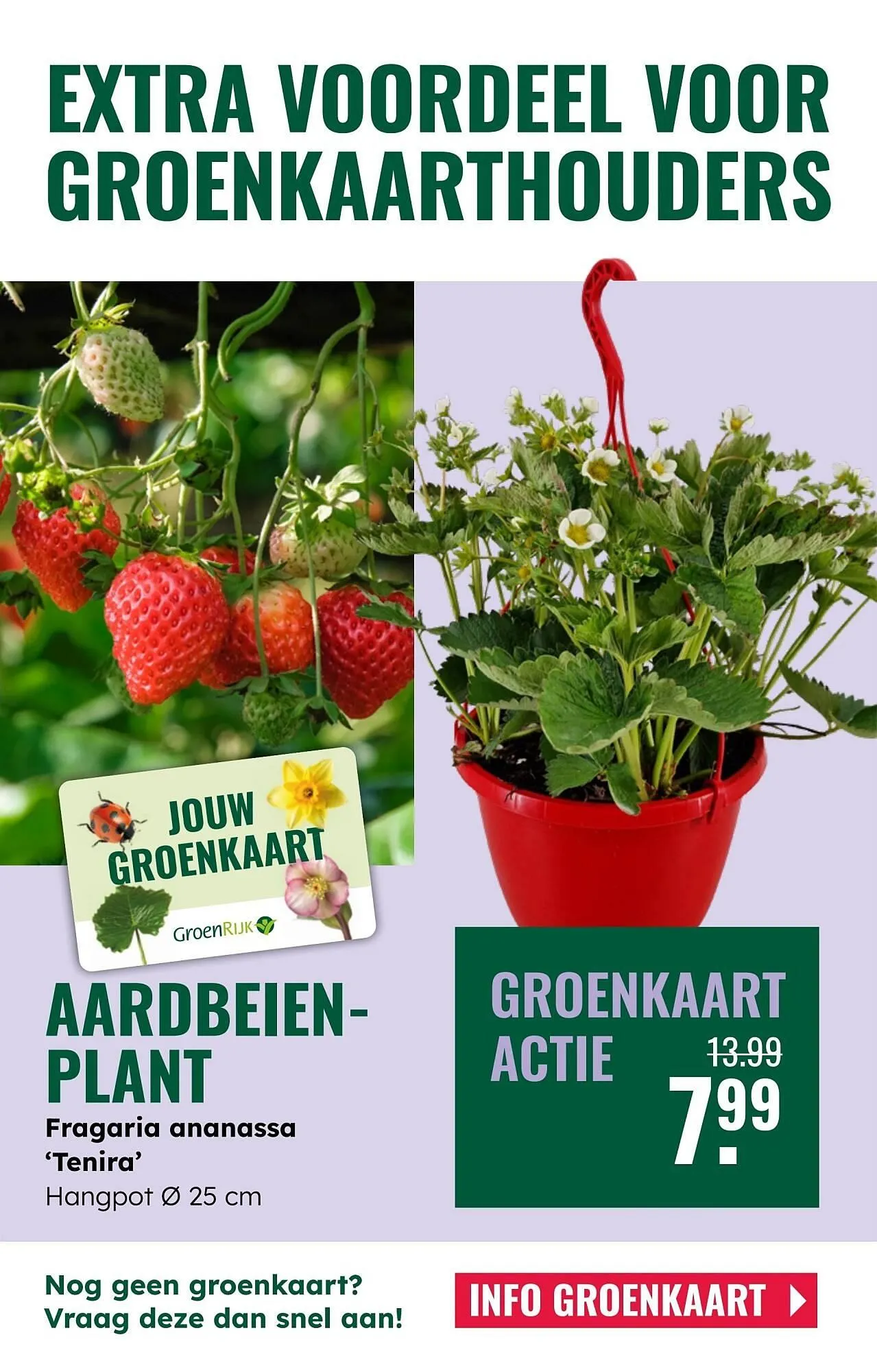 GroenRijk folder van 7 mei tot 13 mei 2025 - Folder pagina 19