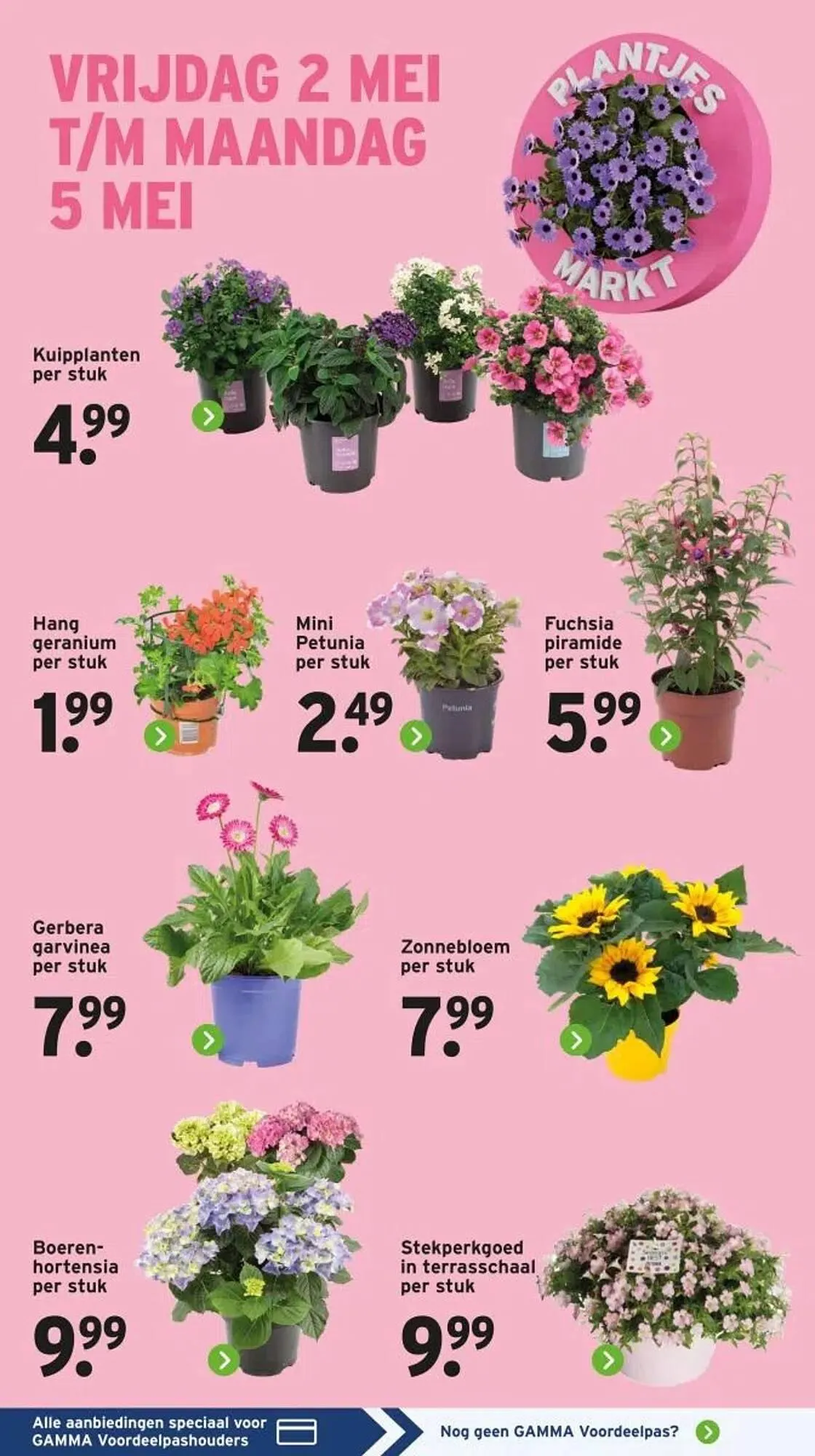 GAMMA folder van 28 april tot 4 mei 2025 - Folder pagina 3