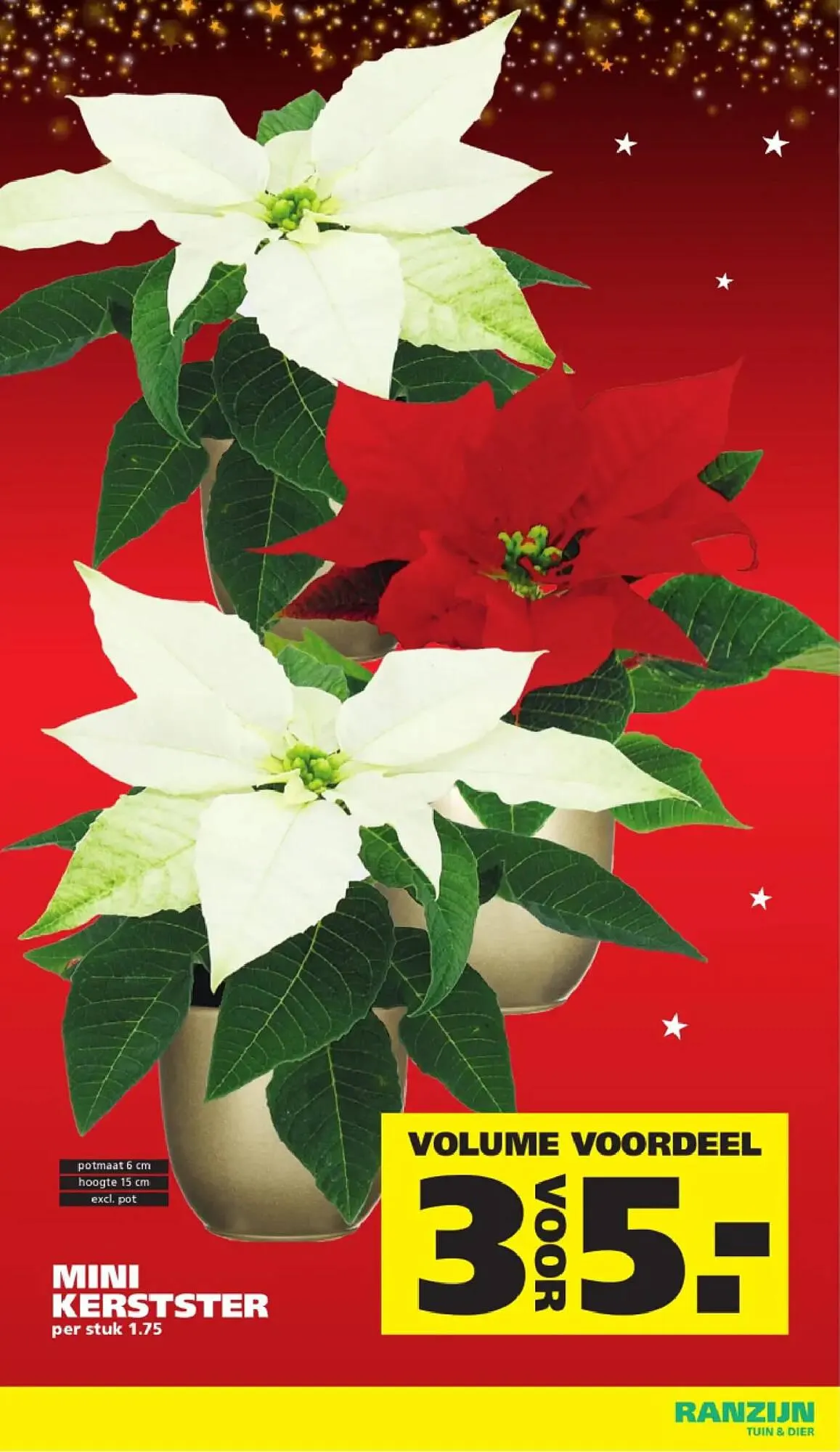 Ranzijn folder van 30 november tot 6 december 2025 - Folder pagina 3