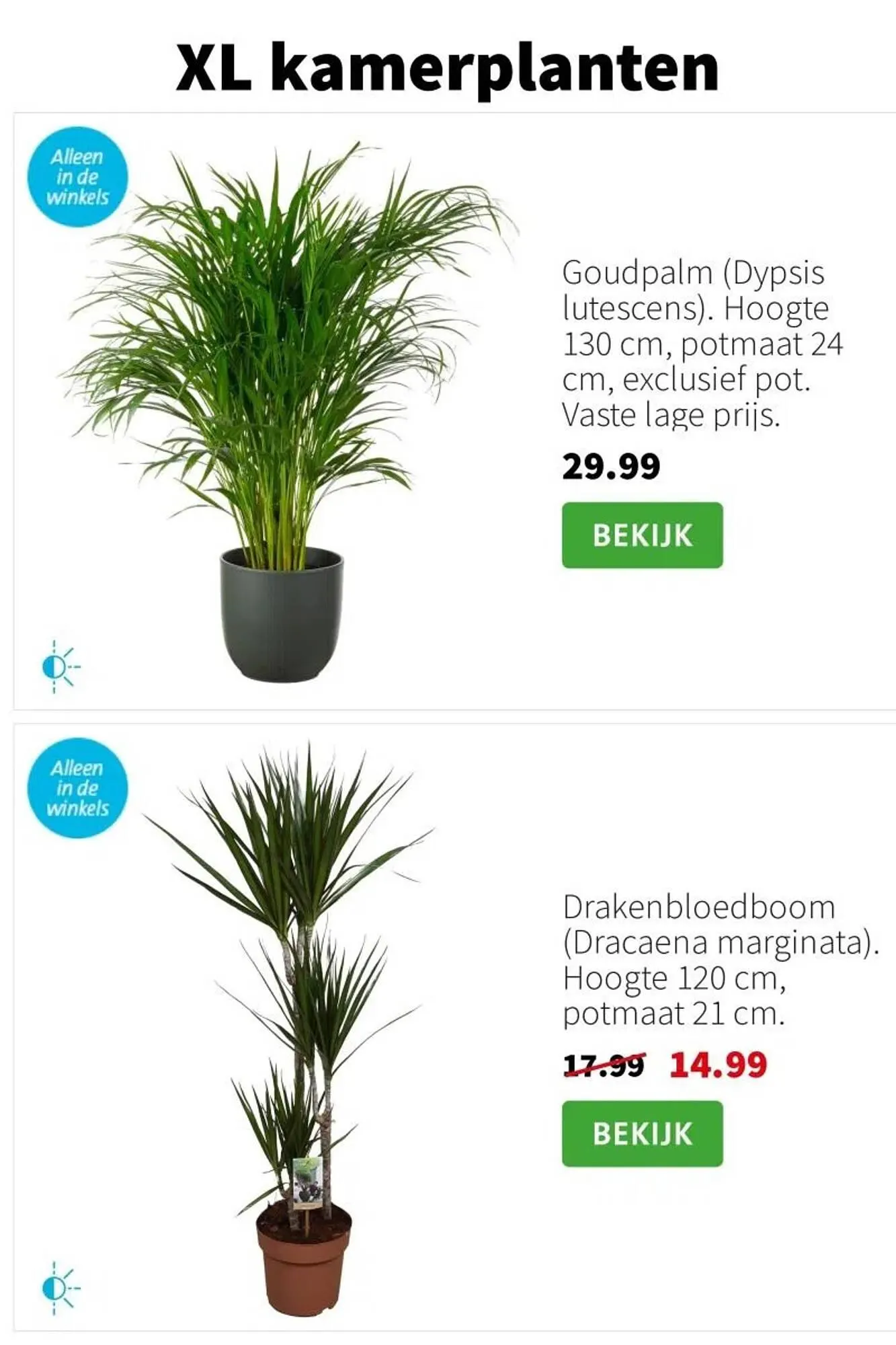 Intratuin folder van 5 januari tot 11 januari 2026 - Folder pagina 3