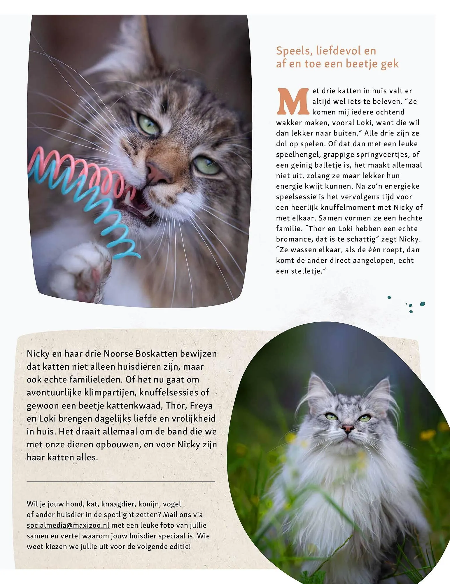 Maxi Zoo folder van 24 maart tot 6 april 2025 - Folder pagina 21