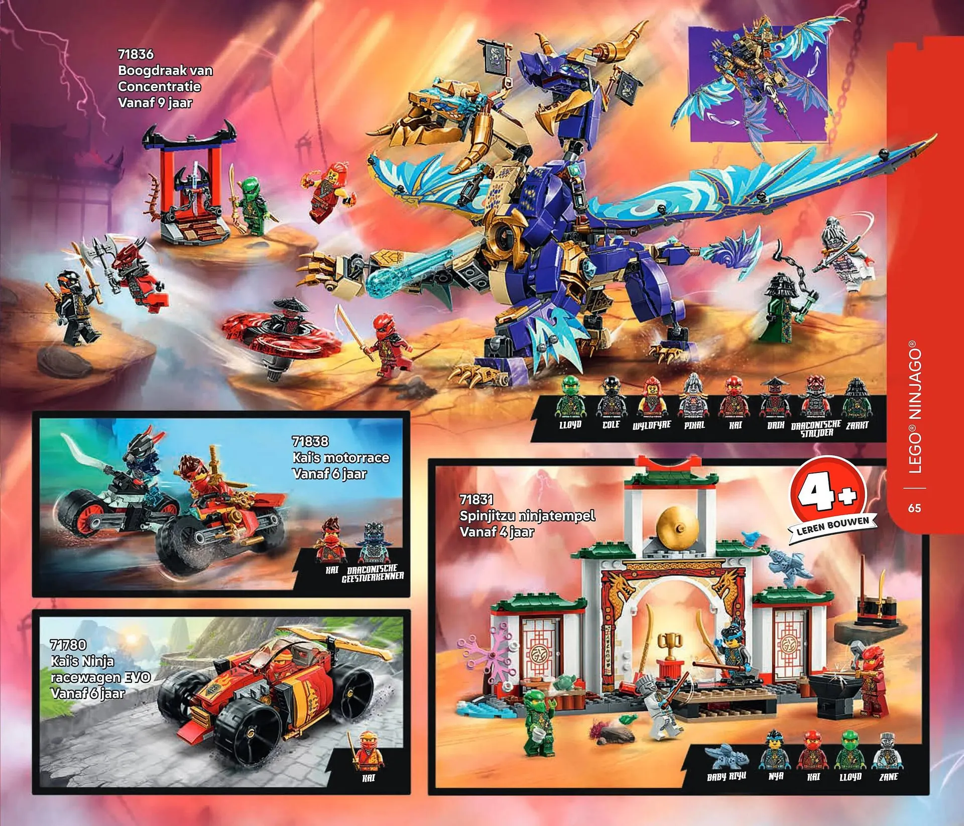 LEGO folder van 1 januari tot 31 januari 2026 - Folder pagina 65