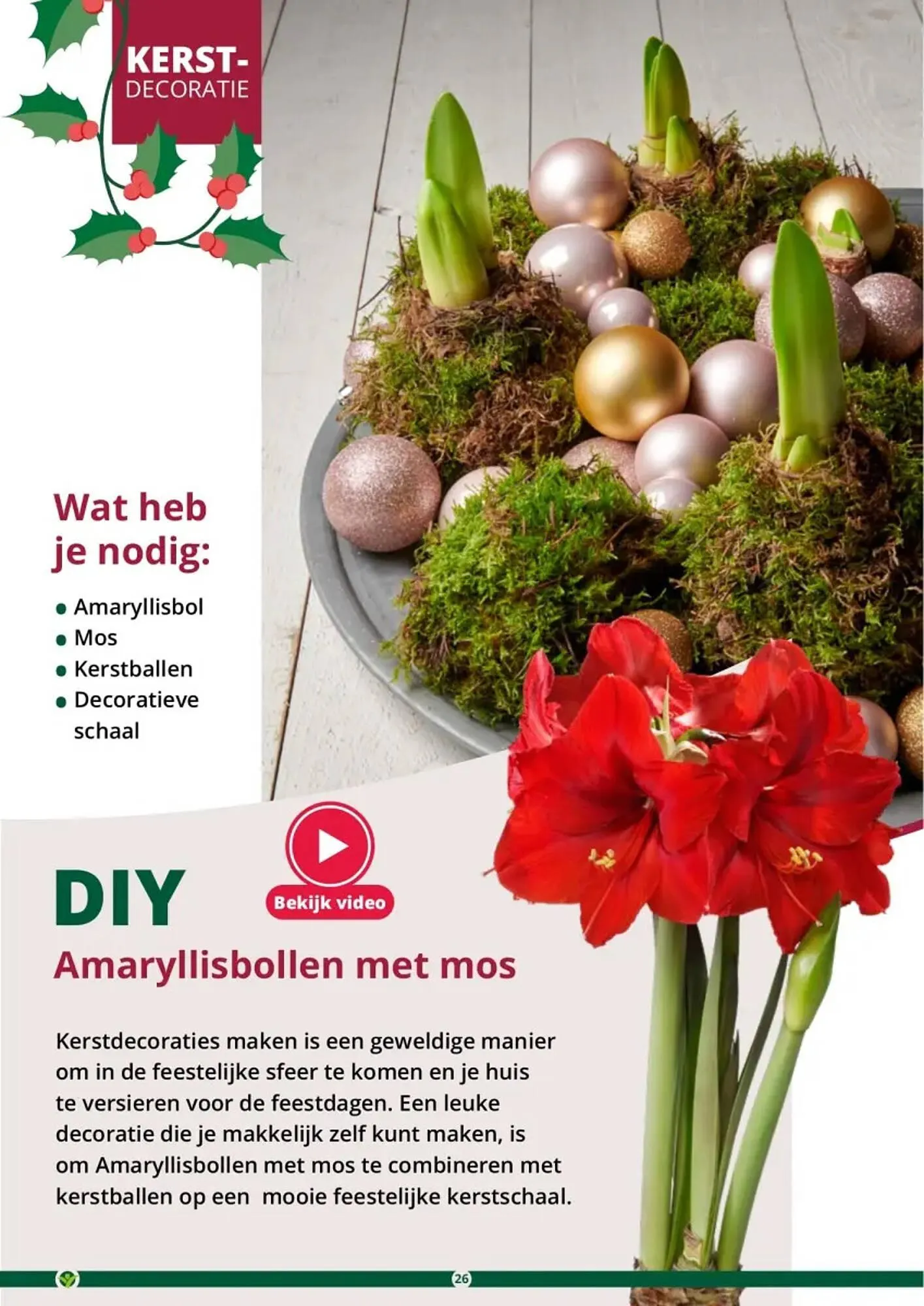 GroenRijk folder van 1 november tot 26 december 2023 - Folder pagina 26