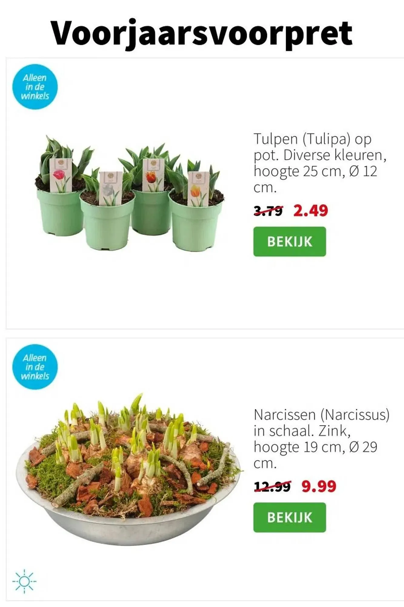 Intratuin folder van 19 januari tot 25 januari 2026 - Folder pagina 5