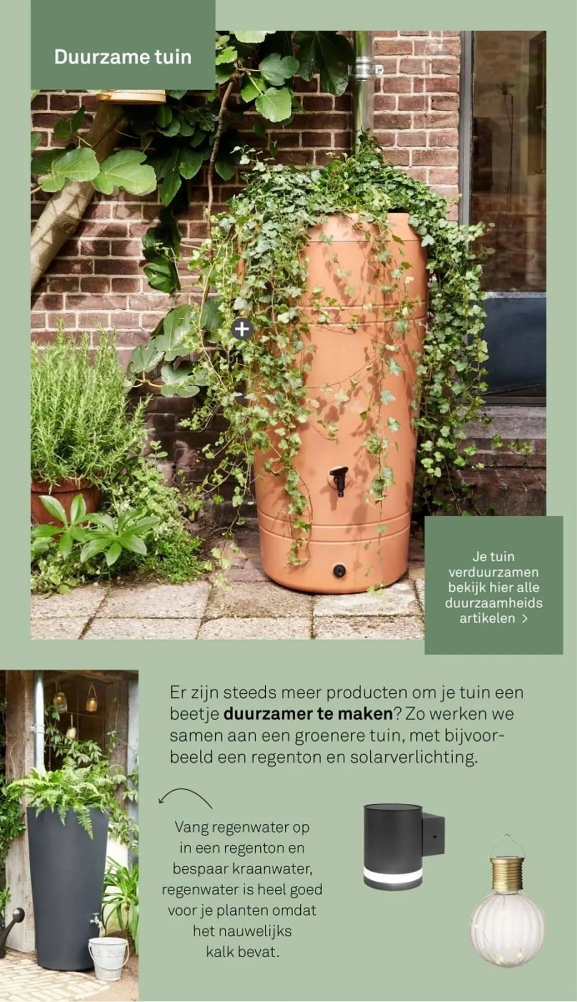 Karwei Tuincollectie 2024 folder van 4 maart tot 31 december 2024 - Folder pagina 56