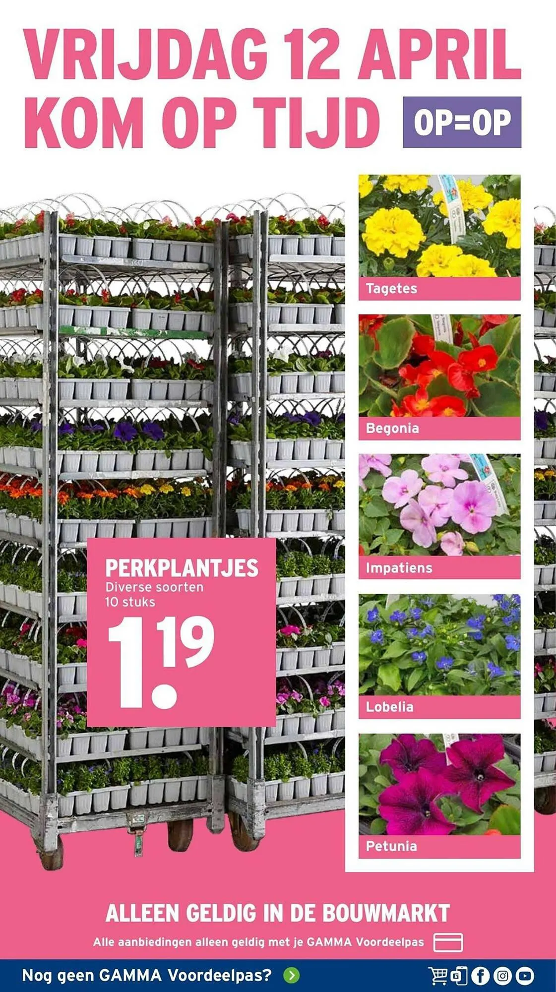 GAMMA folder van 8 april tot 14 april 2024 - Folder pagina 2