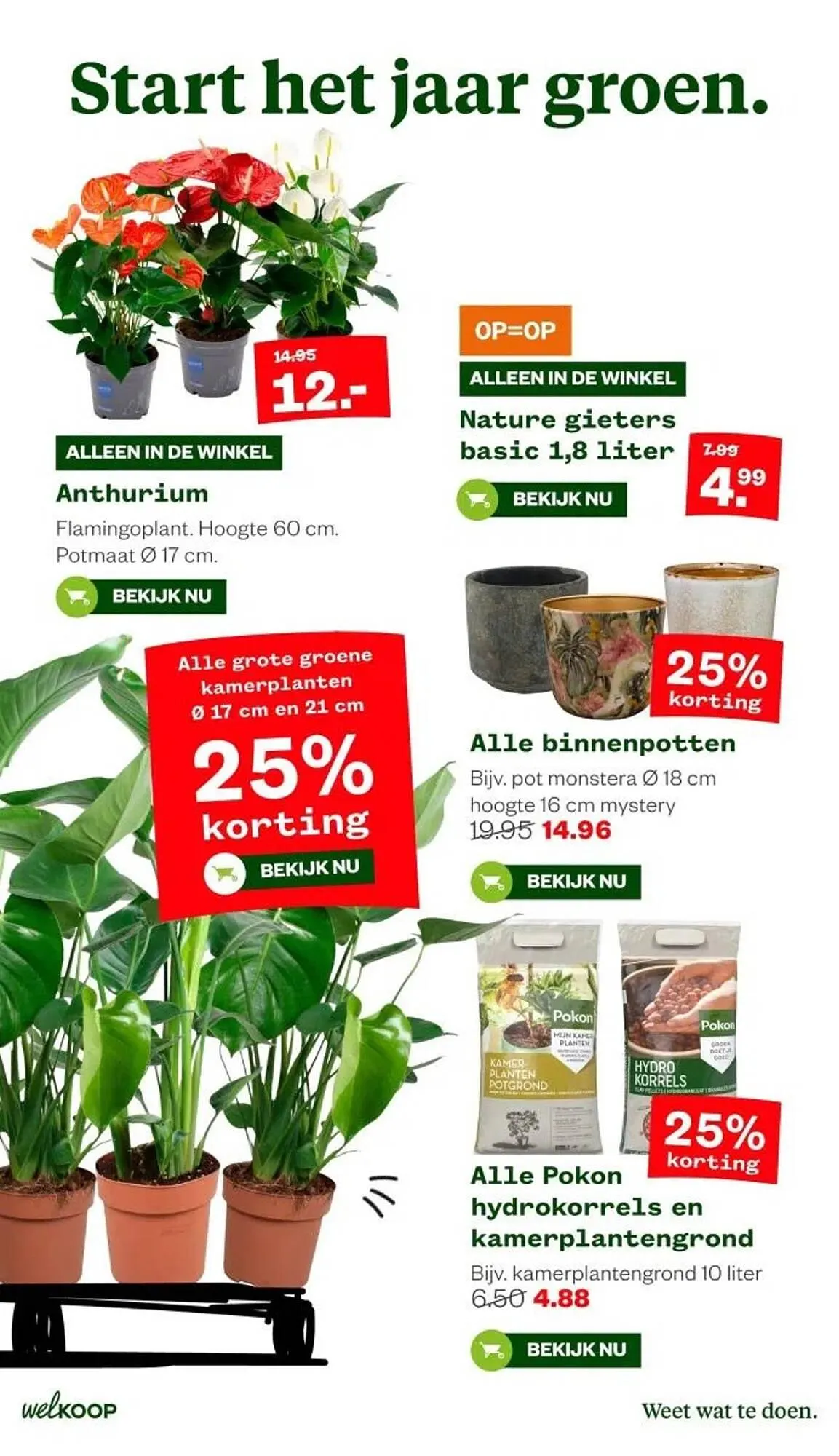 Welkoop folder van 29 december tot 4 januari 2026 - Folder pagina 10