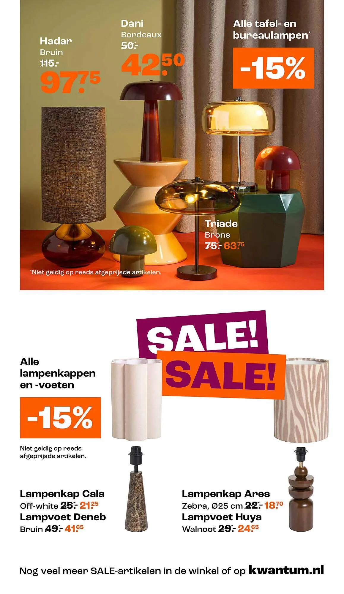 Kwantum folder van 15 december tot 4 januari 2026 - Folder pagina 13