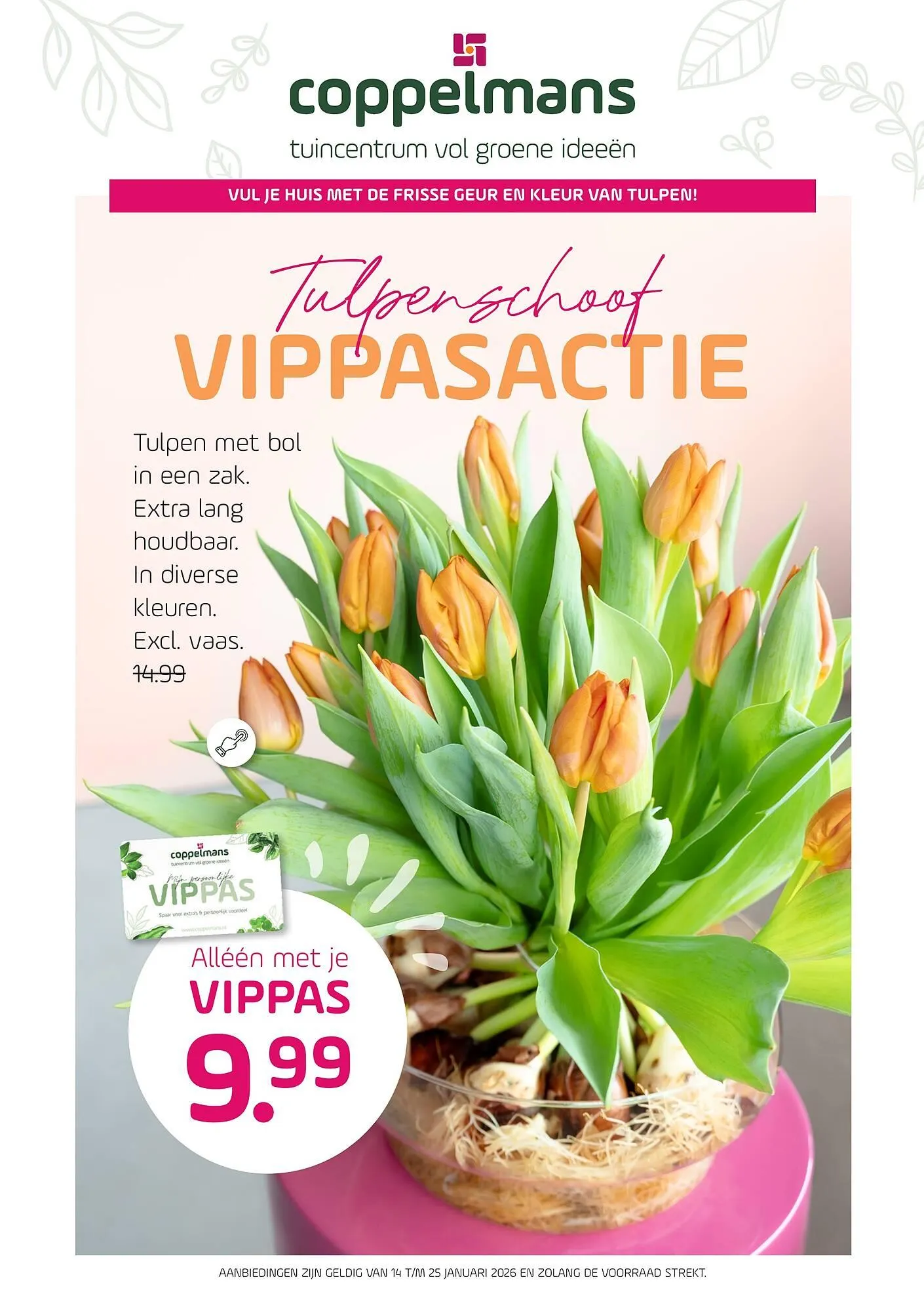 Coppelmans folder van 14 januari tot 25 januari 2026 - Folder pagina 1