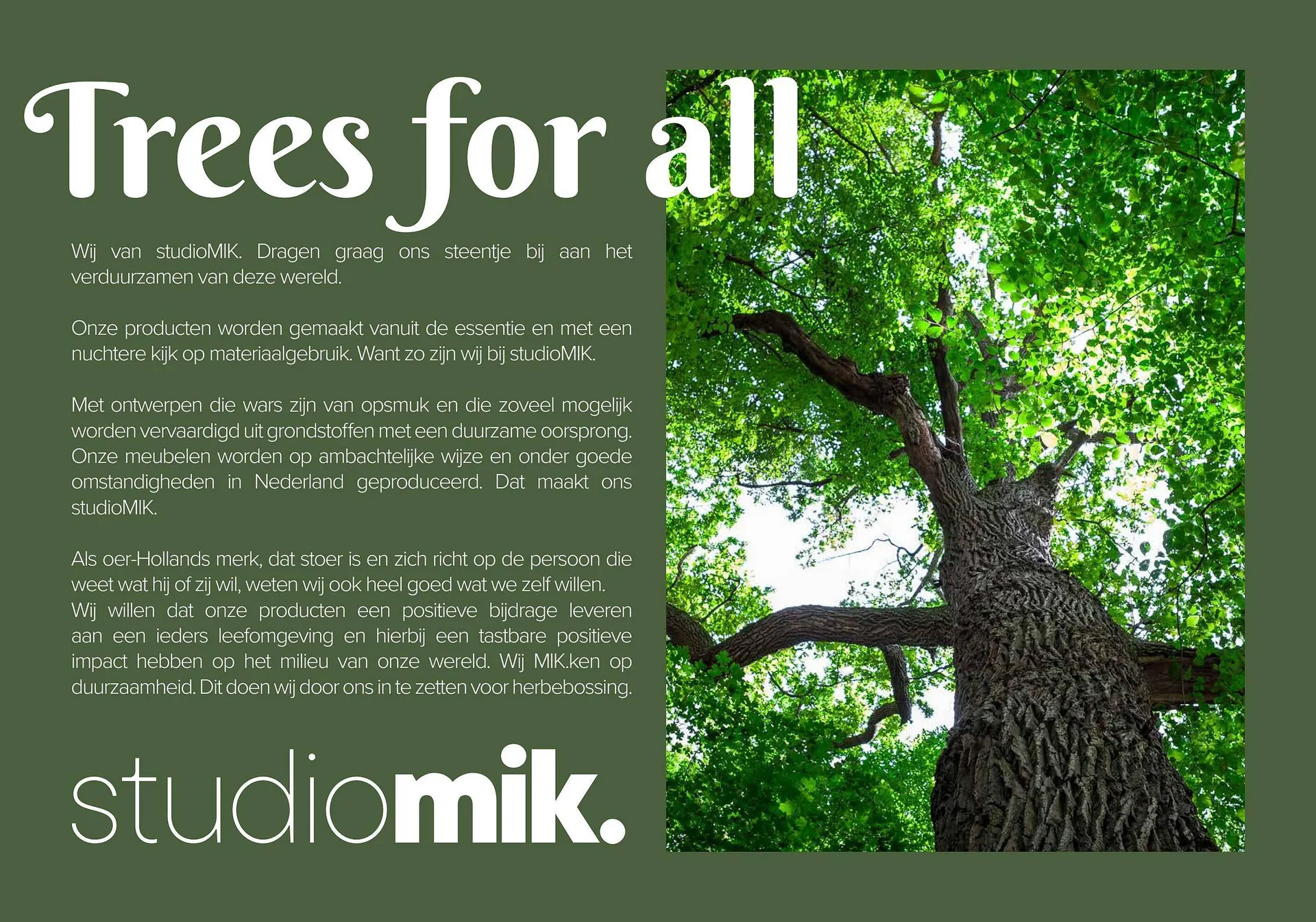 Donjon folder van 1 maart tot 29 februari 2024 - Folder pagina 258