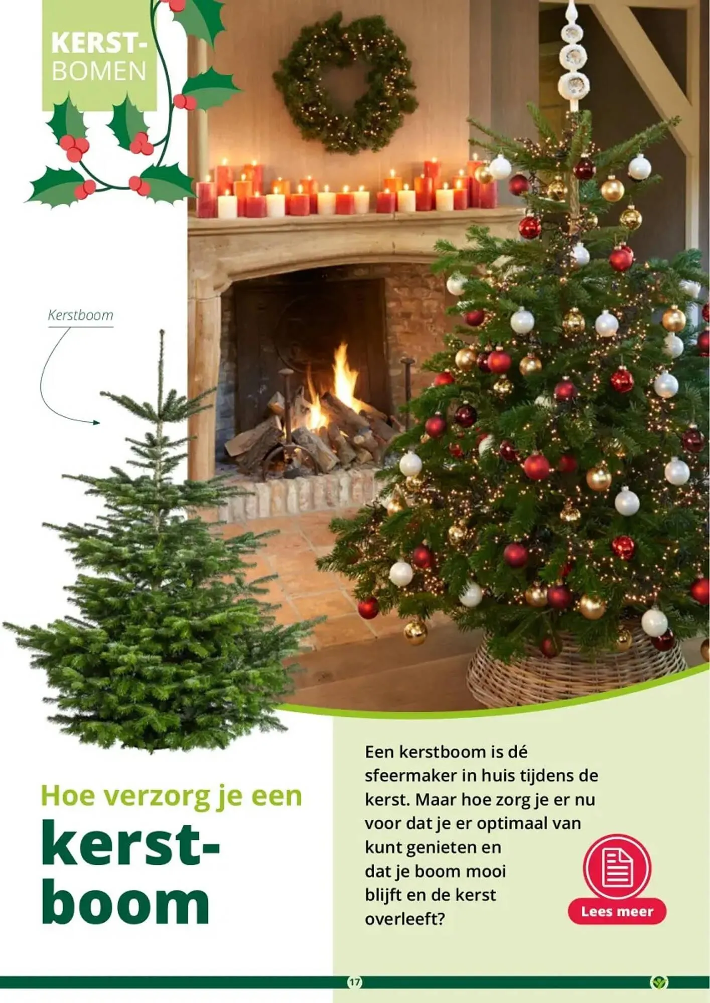 GroenRijk folder van 1 november tot 26 december 2023 - Folder pagina 17