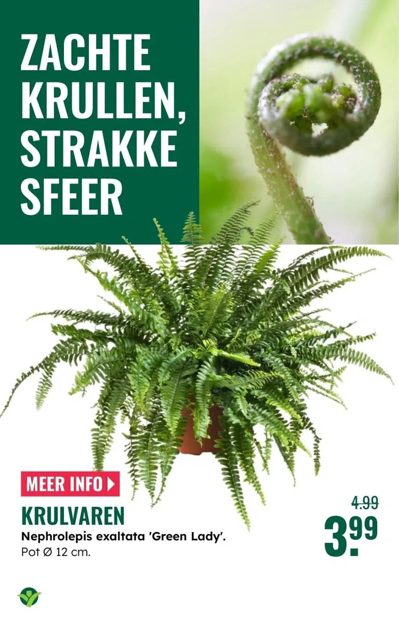 GroenRijk folder van 30 december tot 7 januari 2026 - Folder pagina 18