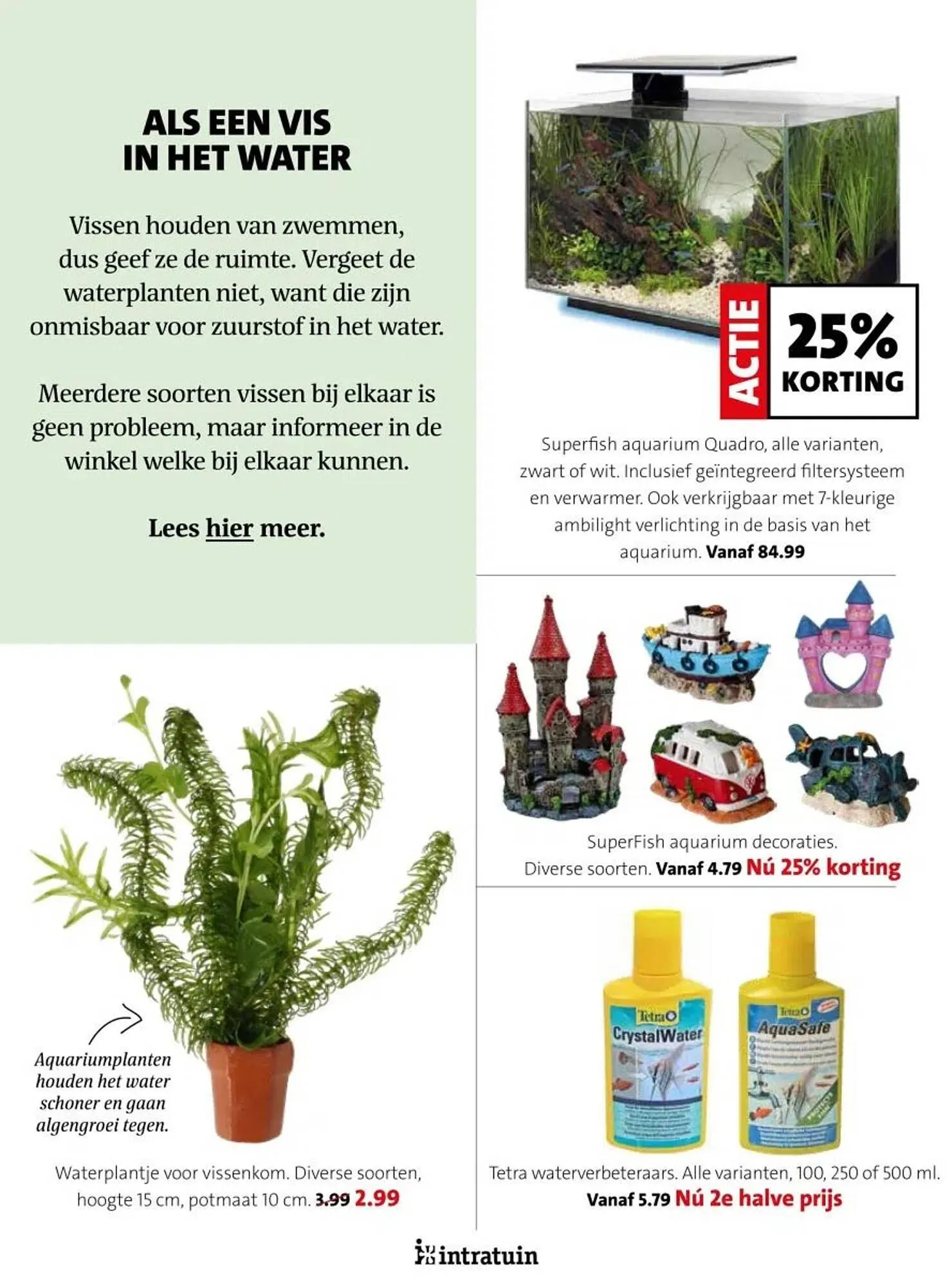 Intratuin folder van 17 februari tot 23 februari 2025 - Folder pagina 16