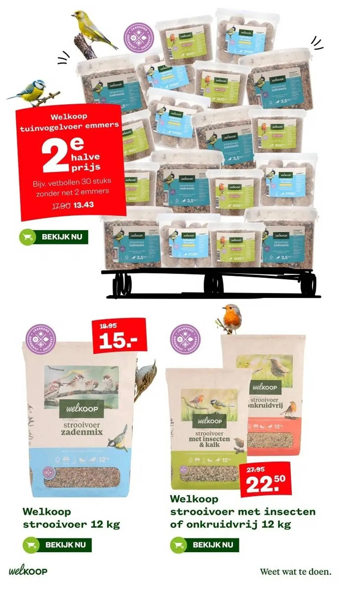 Welkoop folder van 29 december tot 4 januari 2026 - Folder pagina 8