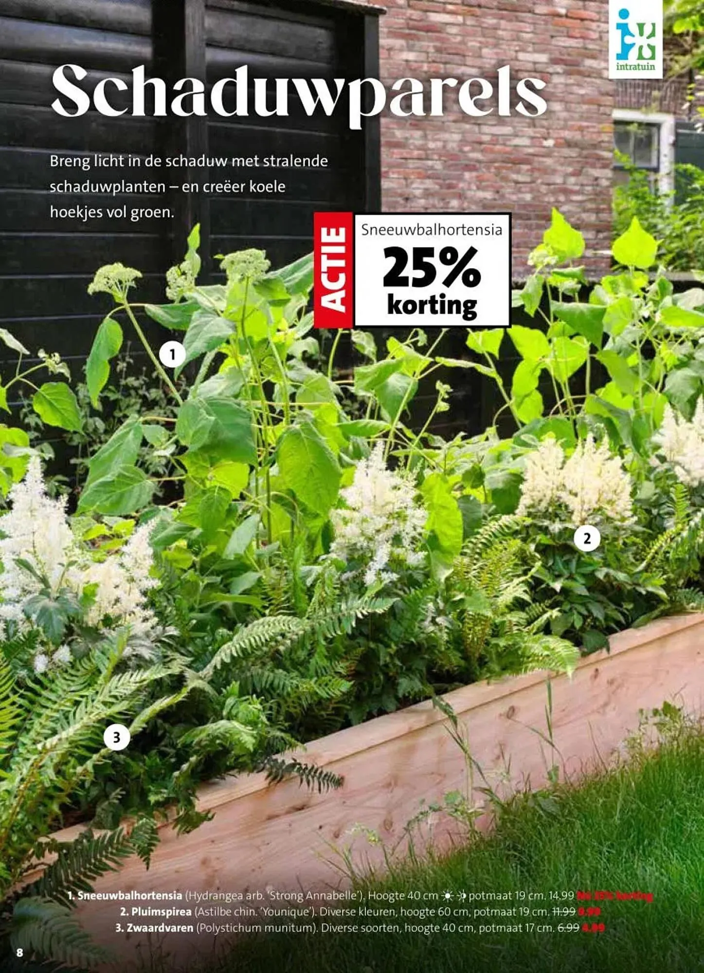 Intratuin folder van 16 maart tot 22 maart 2026 - Folder pagina 8
