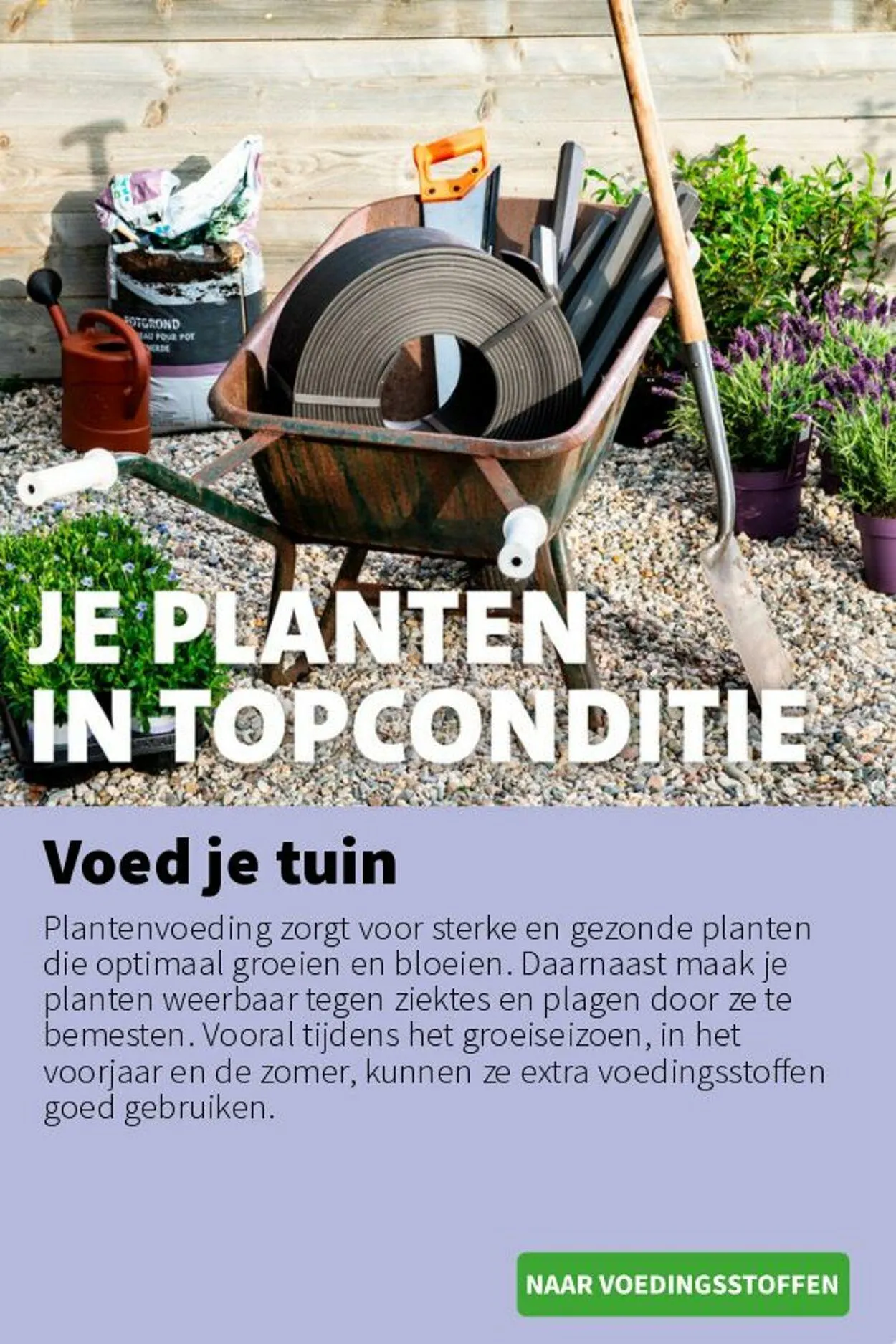 Intratuin Actuele folder van 23 november tot 7 december 2025 - Folder pagina 5