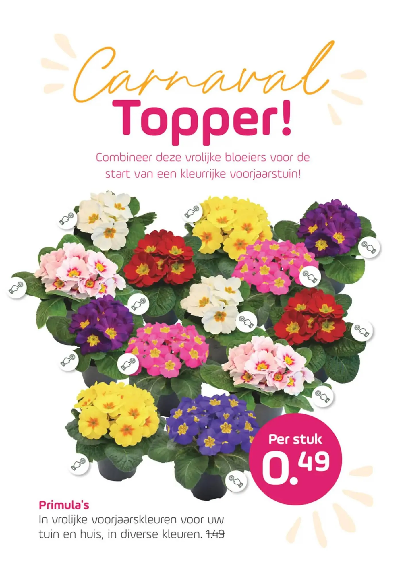 Coppelmans folder van 11 februari tot 22 februari 2026 - Folder pagina 4