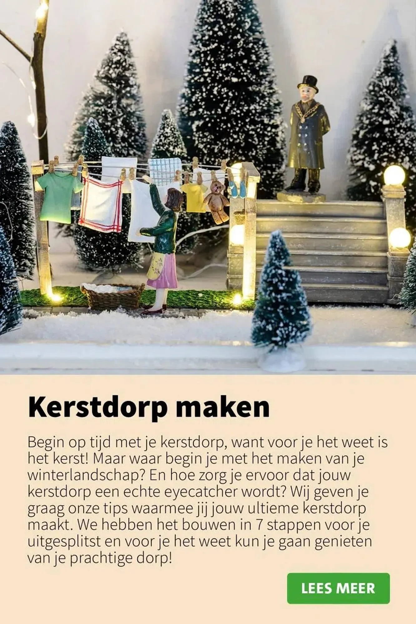 Intratuin folder van 9 oktober tot 24 december 2025 - Folder pagina 16