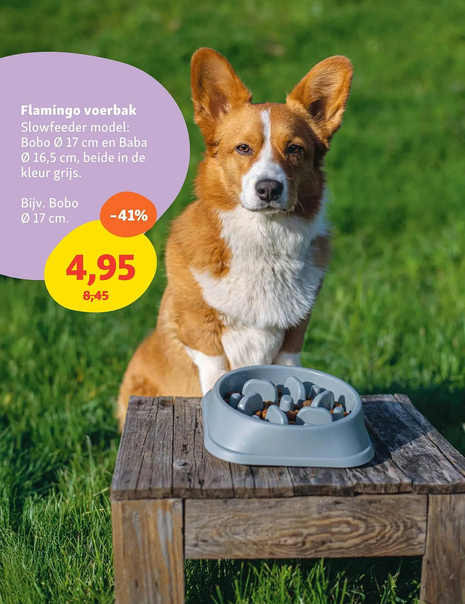 Maxi Zoo folder van 7 april tot 20 april 2025 - Folder pagina 10