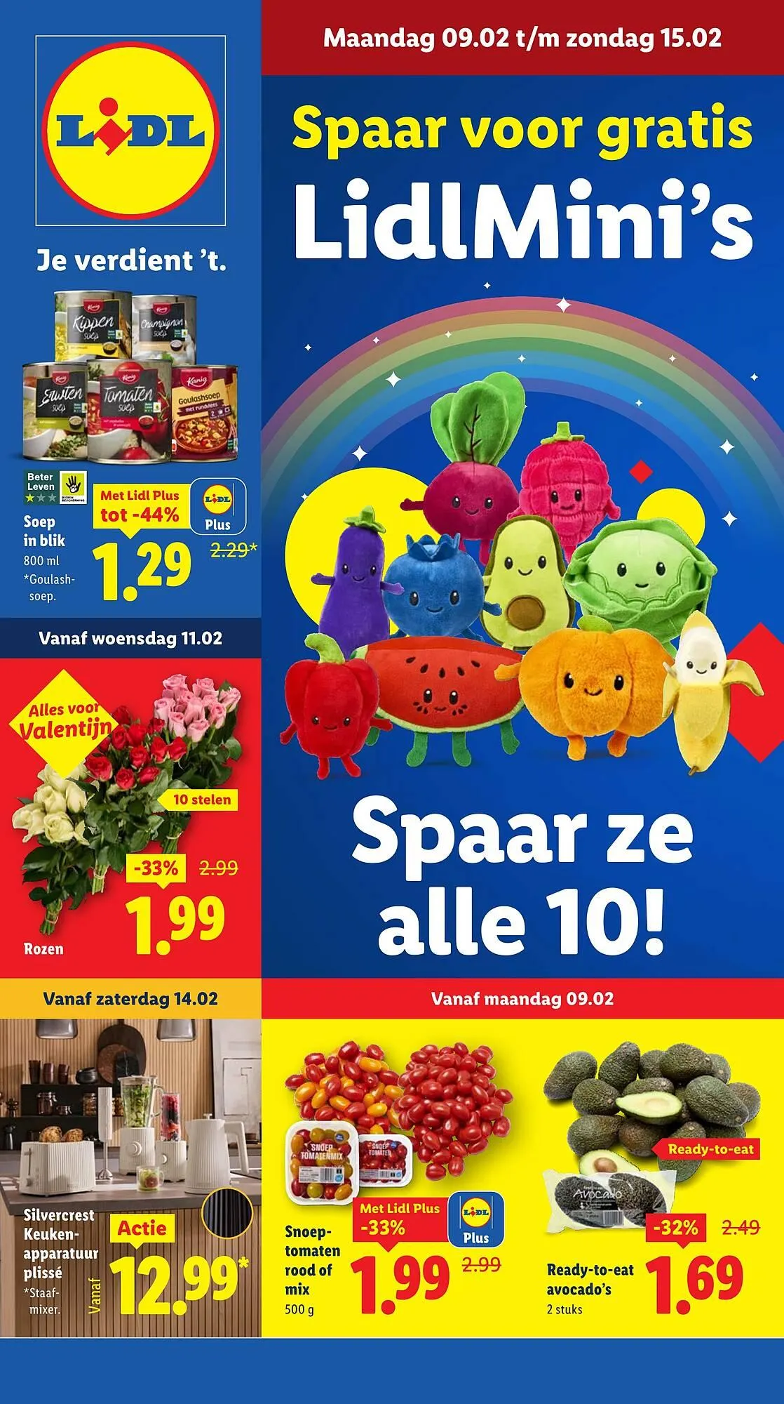 Lidl folder - 1