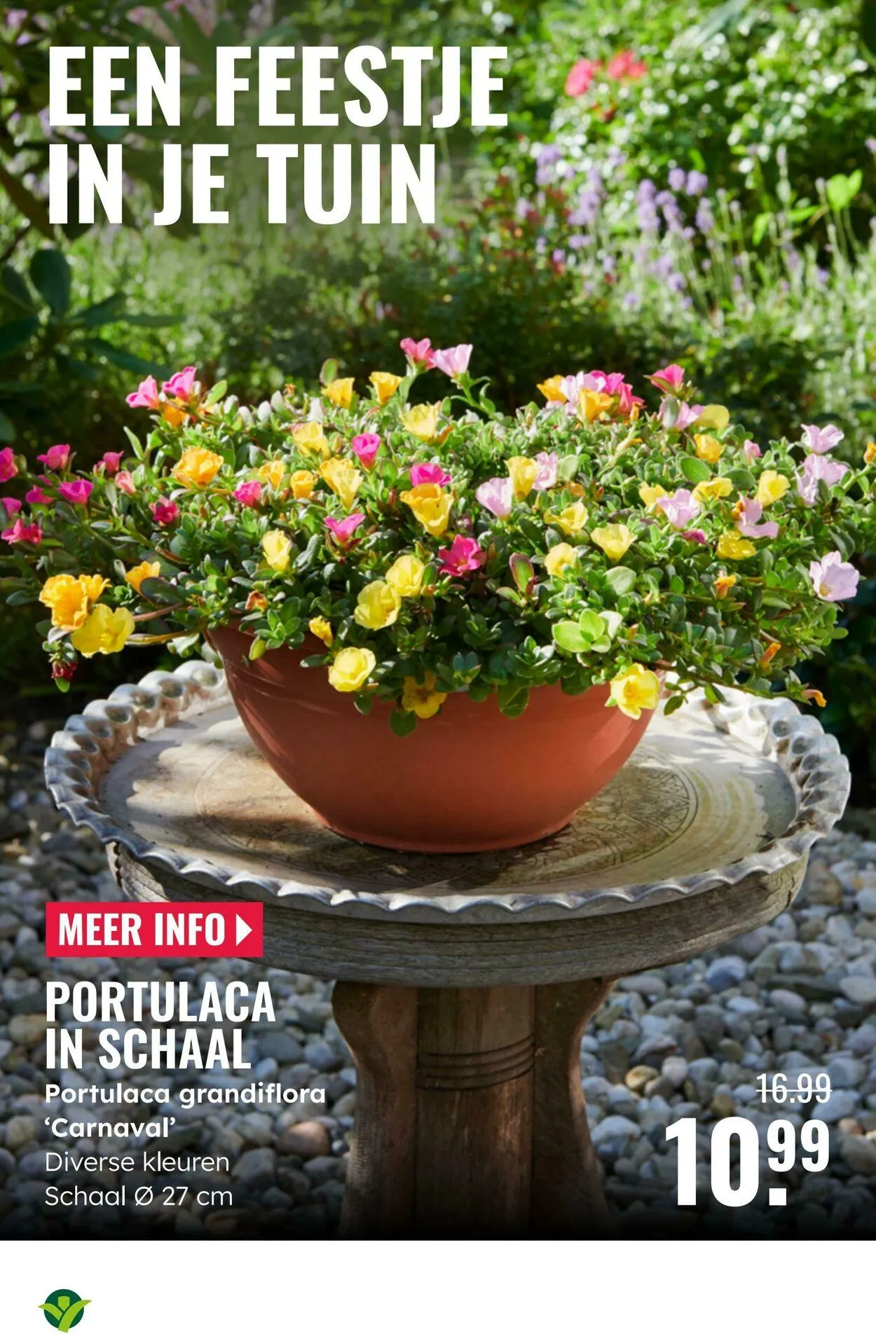 GroenRijk Actuele folder van 2 september tot 16 september 2025 - Folder pagina 3