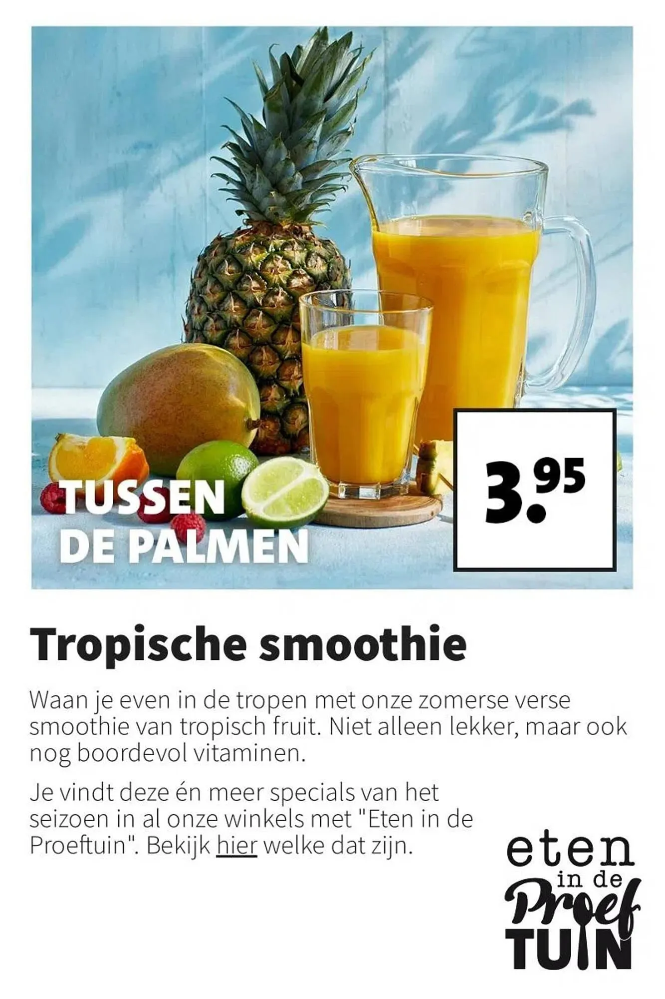 Intratuin folder van 2 september tot 8 september 2024 - Folder pagina 12