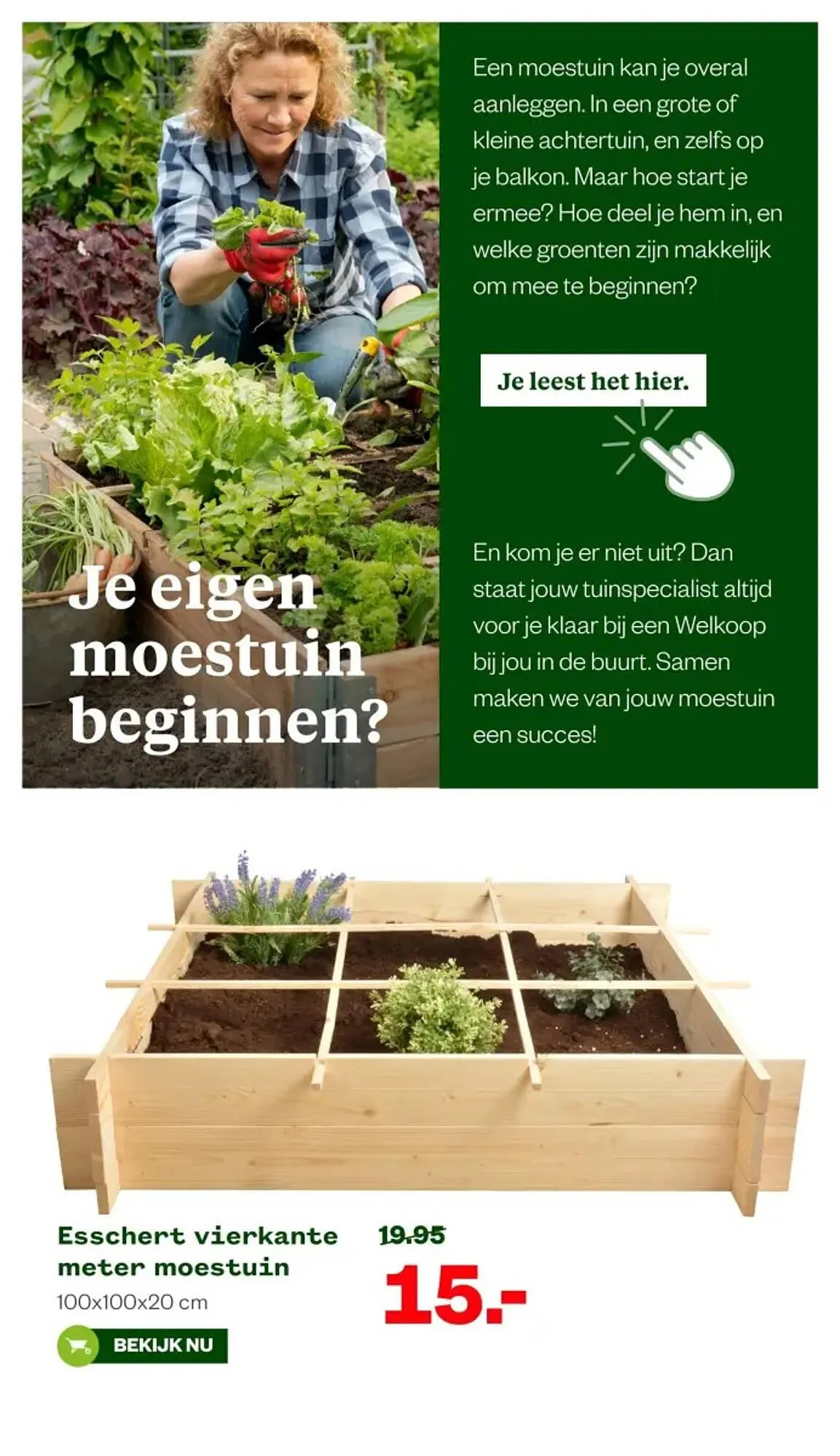 Welkoop folder van 31 maart tot 13 april 2025 - Folder pagina 6