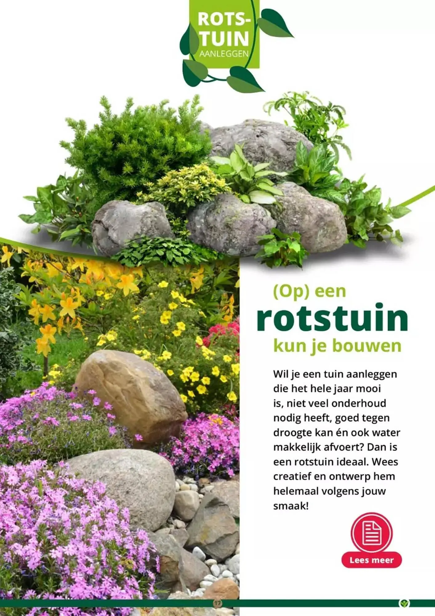 GroenRijk folder van 17 mei tot 31 augustus 2023 - Folder pagina 17