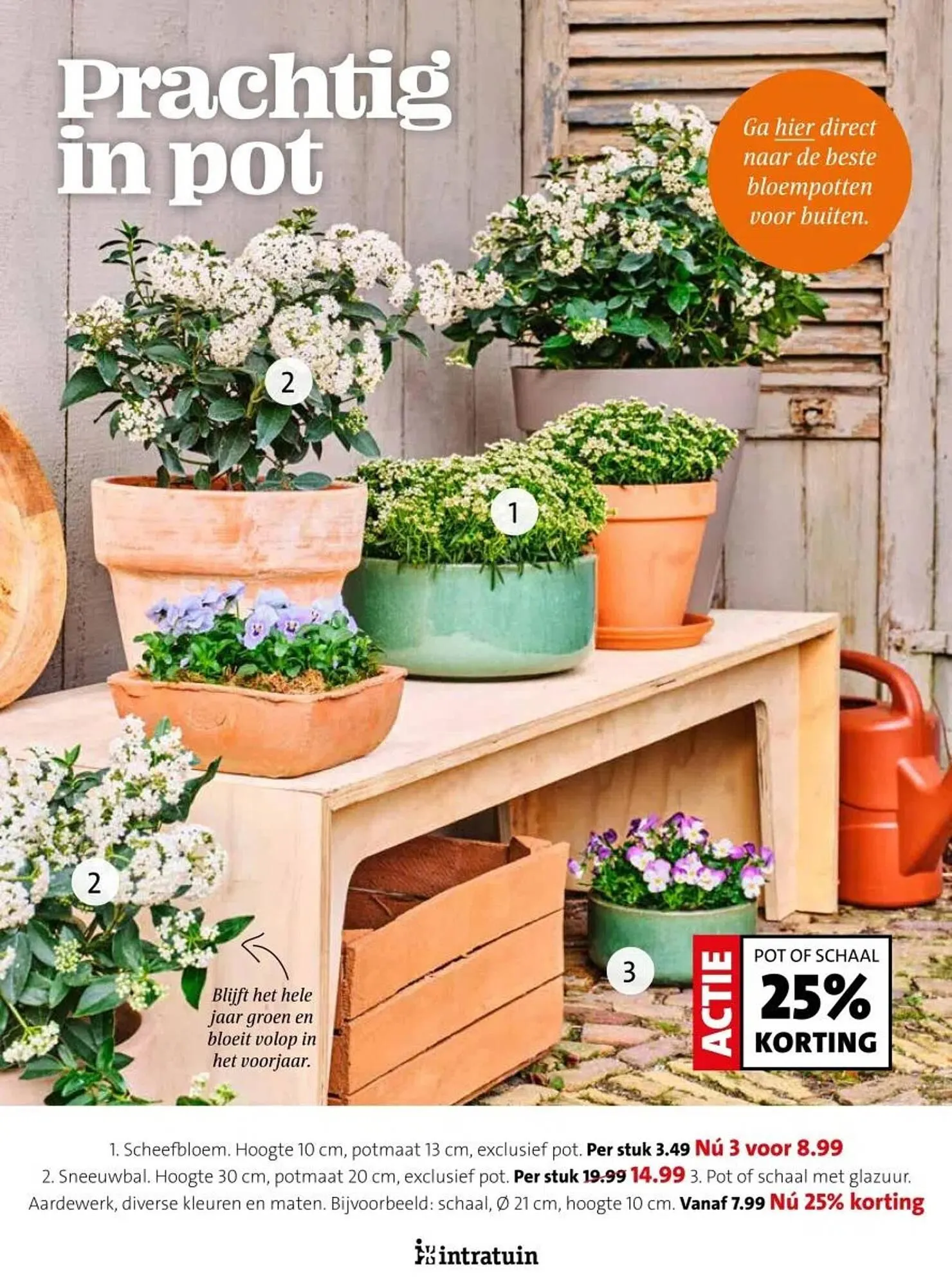 Intratuin folder van 17 februari tot 23 februari 2025 - Folder pagina 5