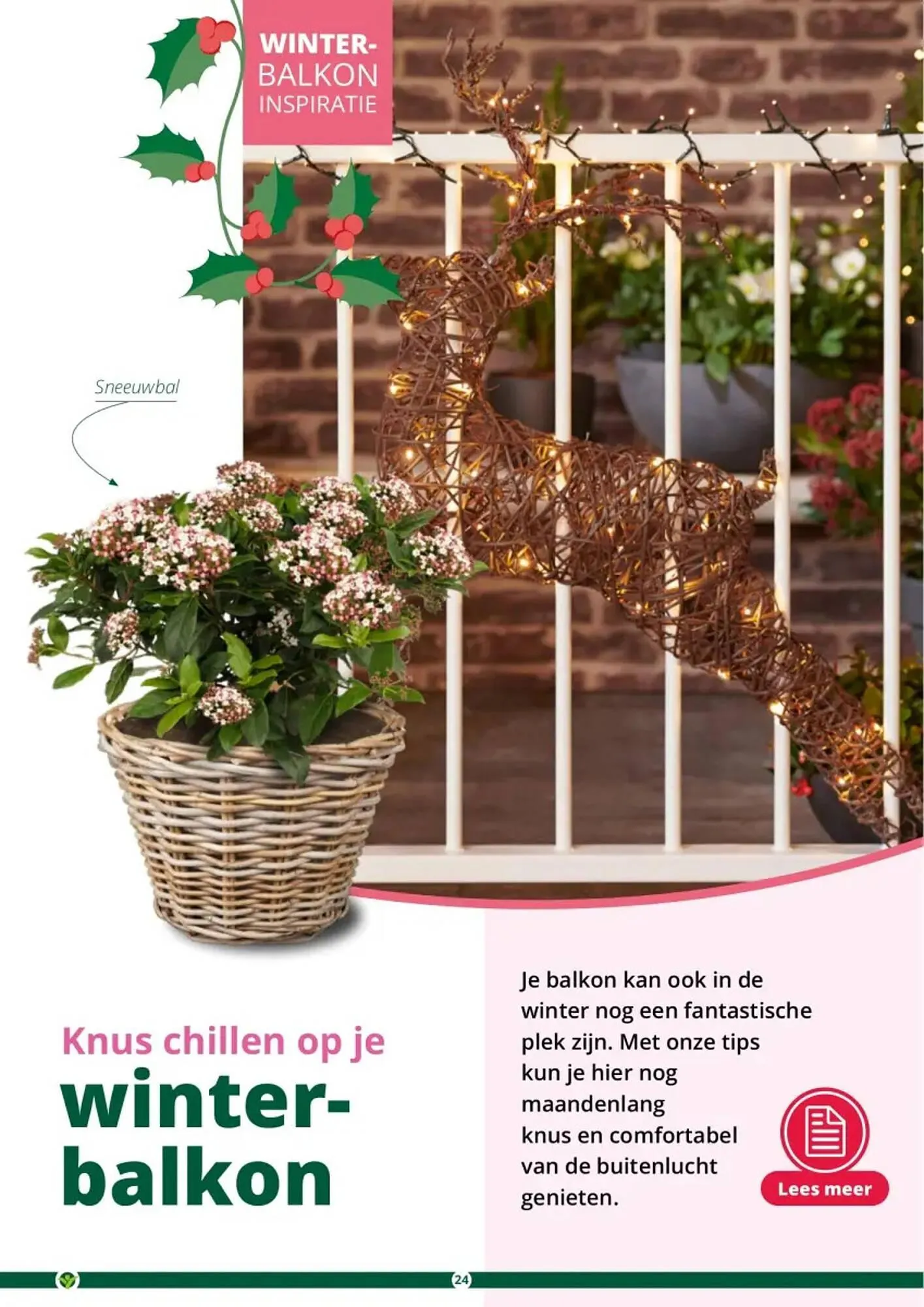 GroenRijk folder van 1 november tot 26 december 2023 - Folder pagina 24