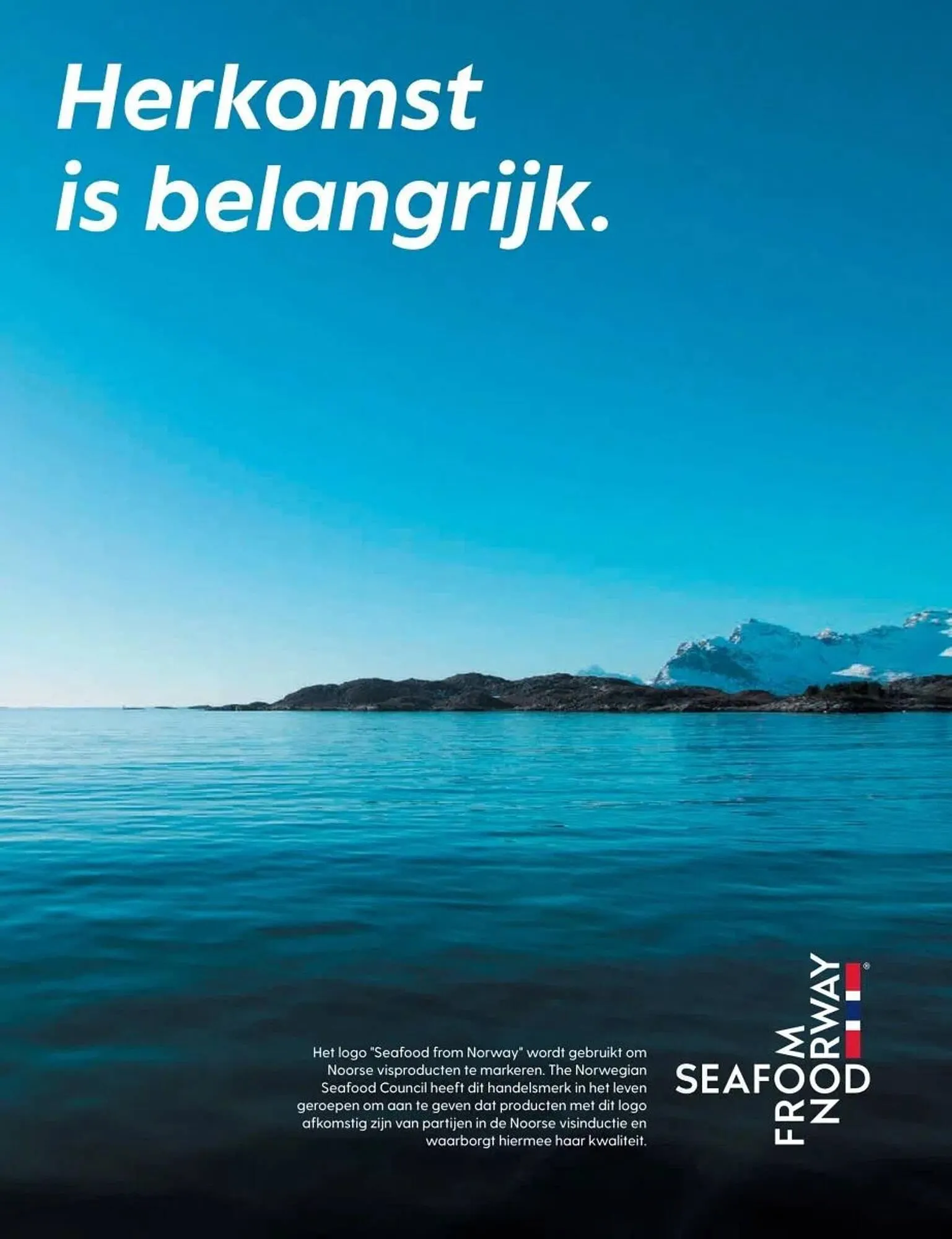 Albert Heijn folder van 19 mei tot 16 juni 2025 - Folder pagina 16