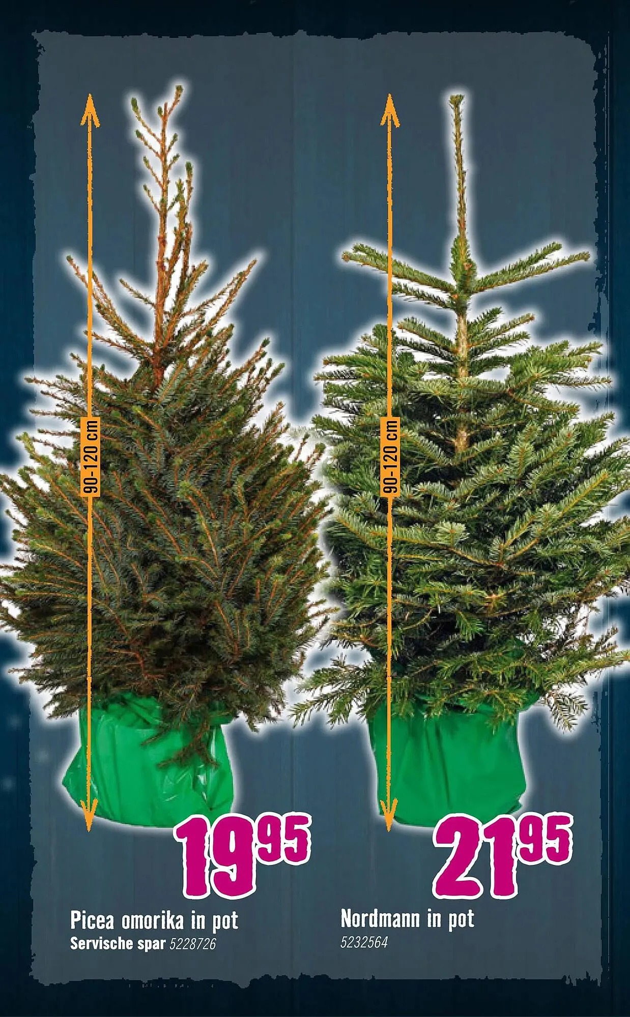 Hornbach folder van 26 november tot 31 december 2023 - Folder pagina 3