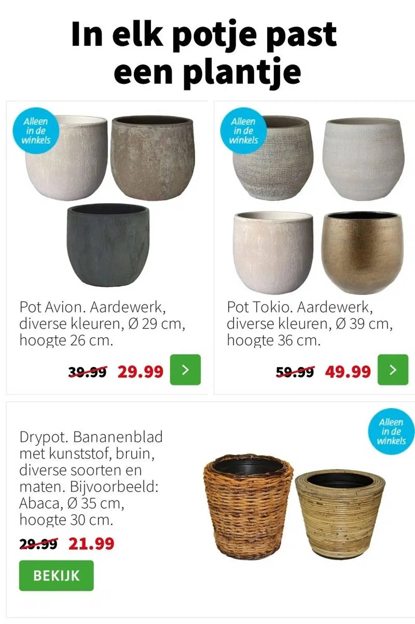 Intratuin folder van 5 januari tot 11 januari 2026 - Folder pagina 15