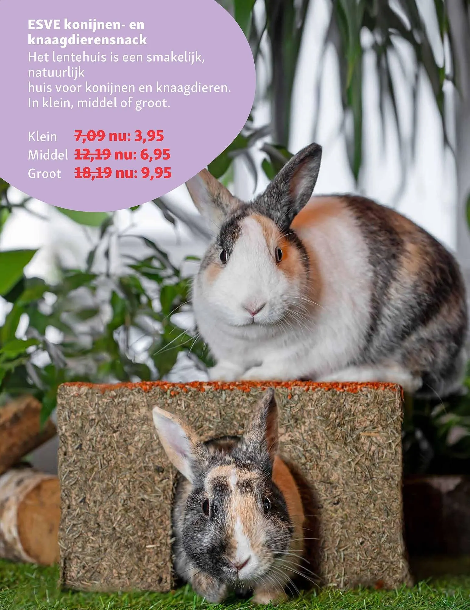 Maxi Zoo folder van 24 maart tot 6 april 2025 - Folder pagina 28