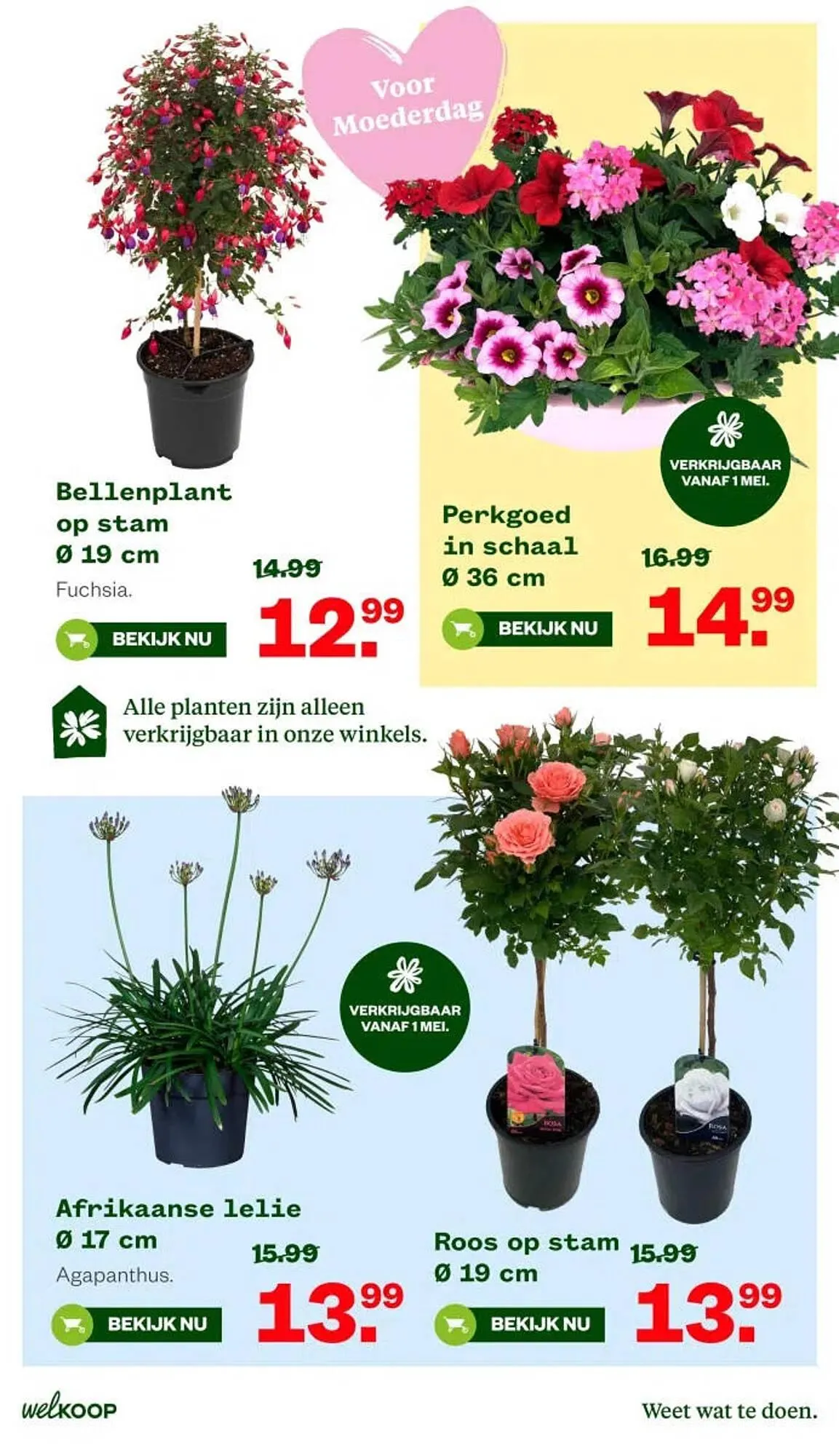Welkoop folder van 4 mei tot 10 juni 2026 - Folder pagina 3