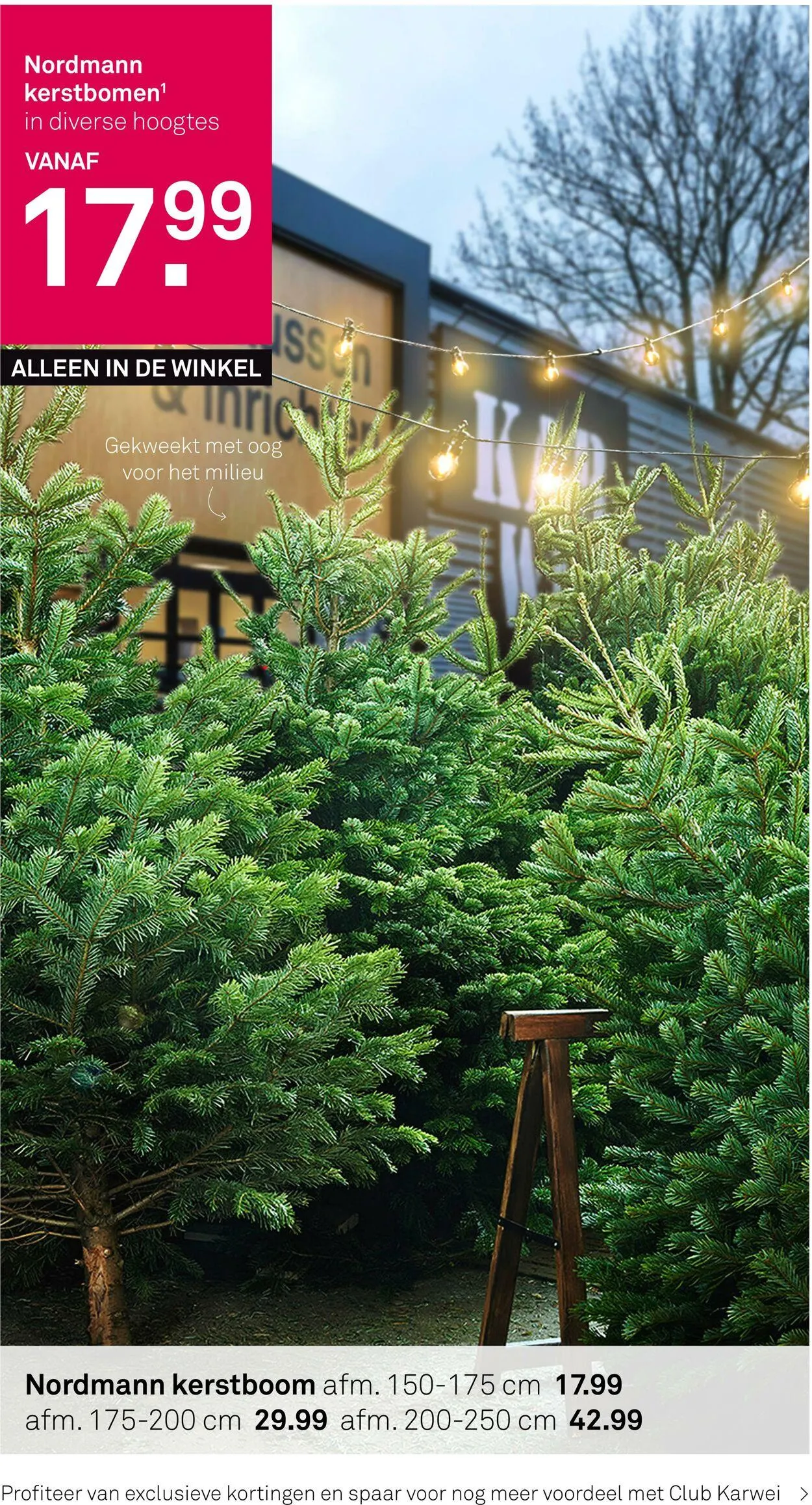 Karwei Actuele folder van 8 december tot 14 december 2025 - Folder pagina 2