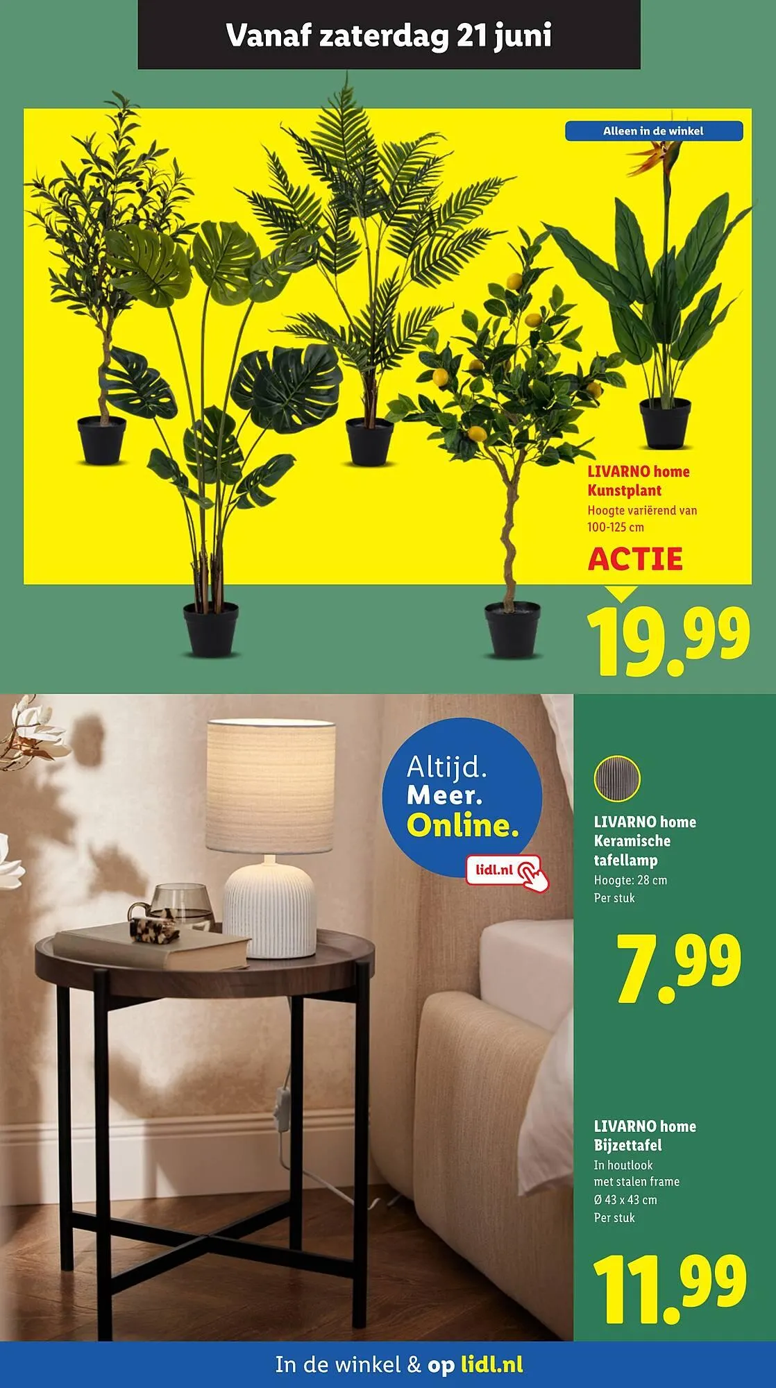 Lidl folder van 16 juni tot 22 juni 2025 - Folder pagina 10