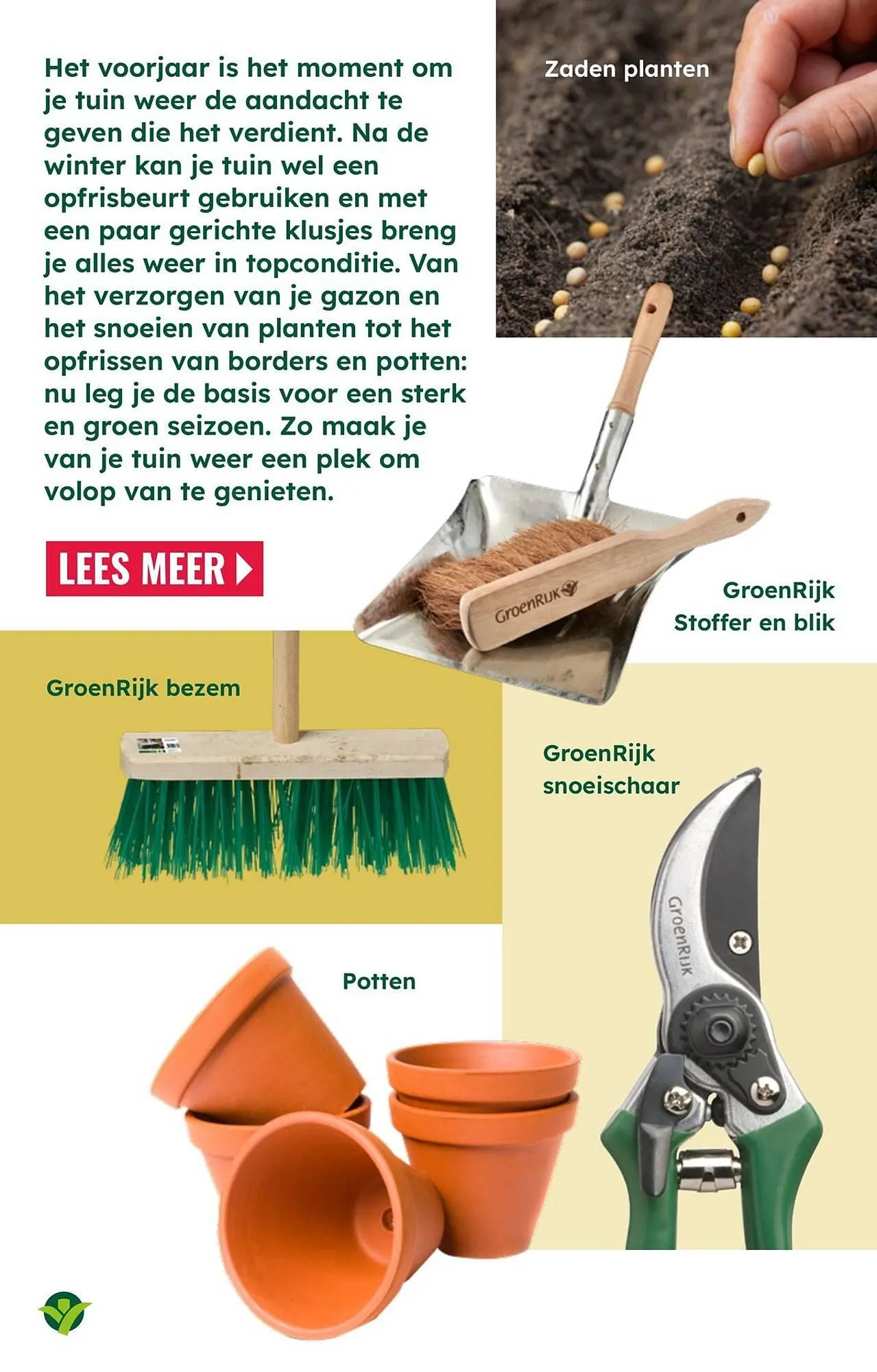 GroenRijk folder van 18 maart tot 1 april 2026 - Folder pagina 11