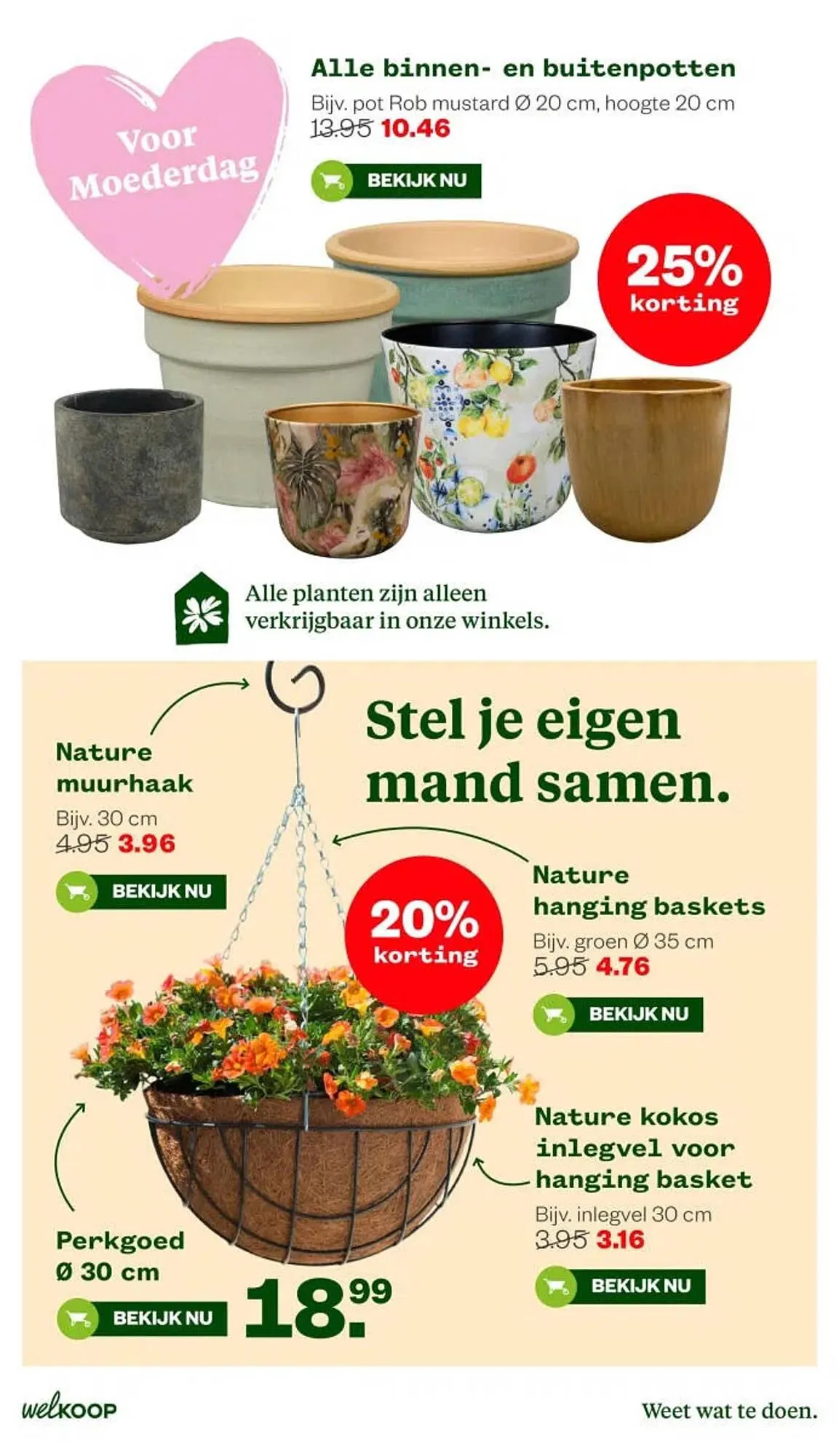 Welkoop folder van 4 mei tot 10 juni 2026 - Folder pagina 6
