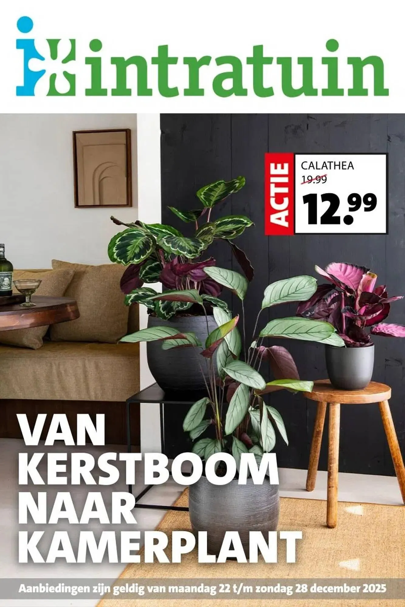 Intratuin folder van 22 december tot 28 december 2025 - Folder pagina 1