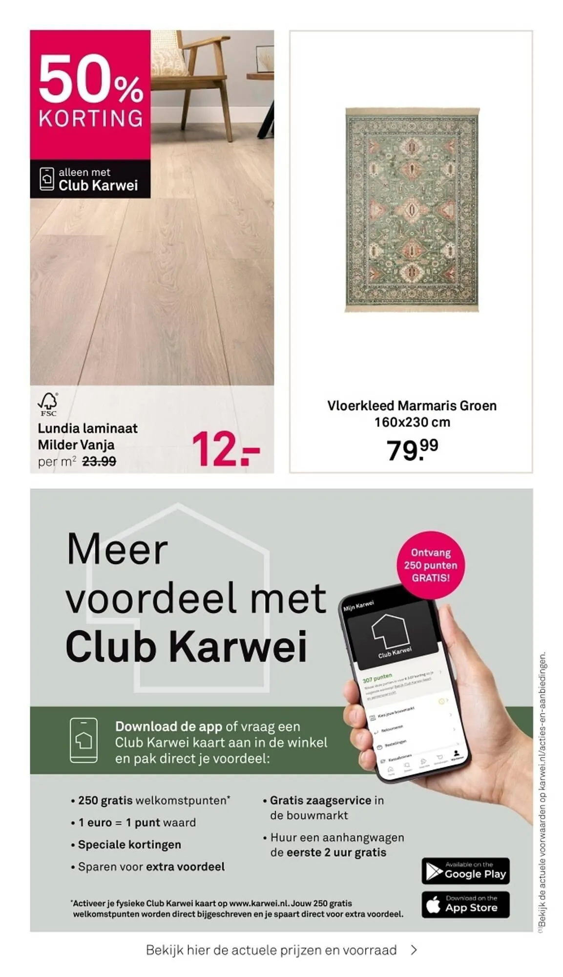 Karwei folder van 10 maart tot 16 maart 2025 - Folder pagina 31