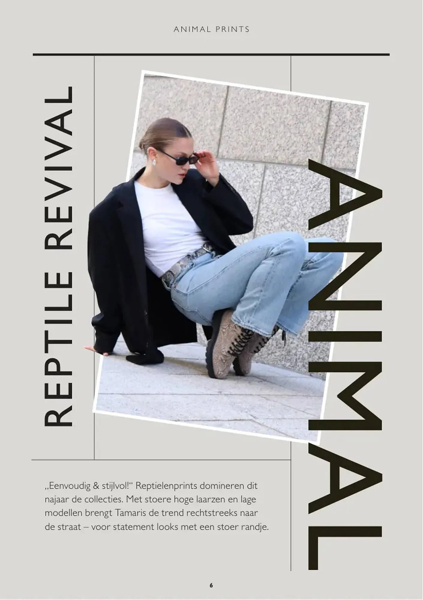 Ziengs folder van 13 oktober tot 2 november 2025 - Folder pagina 6